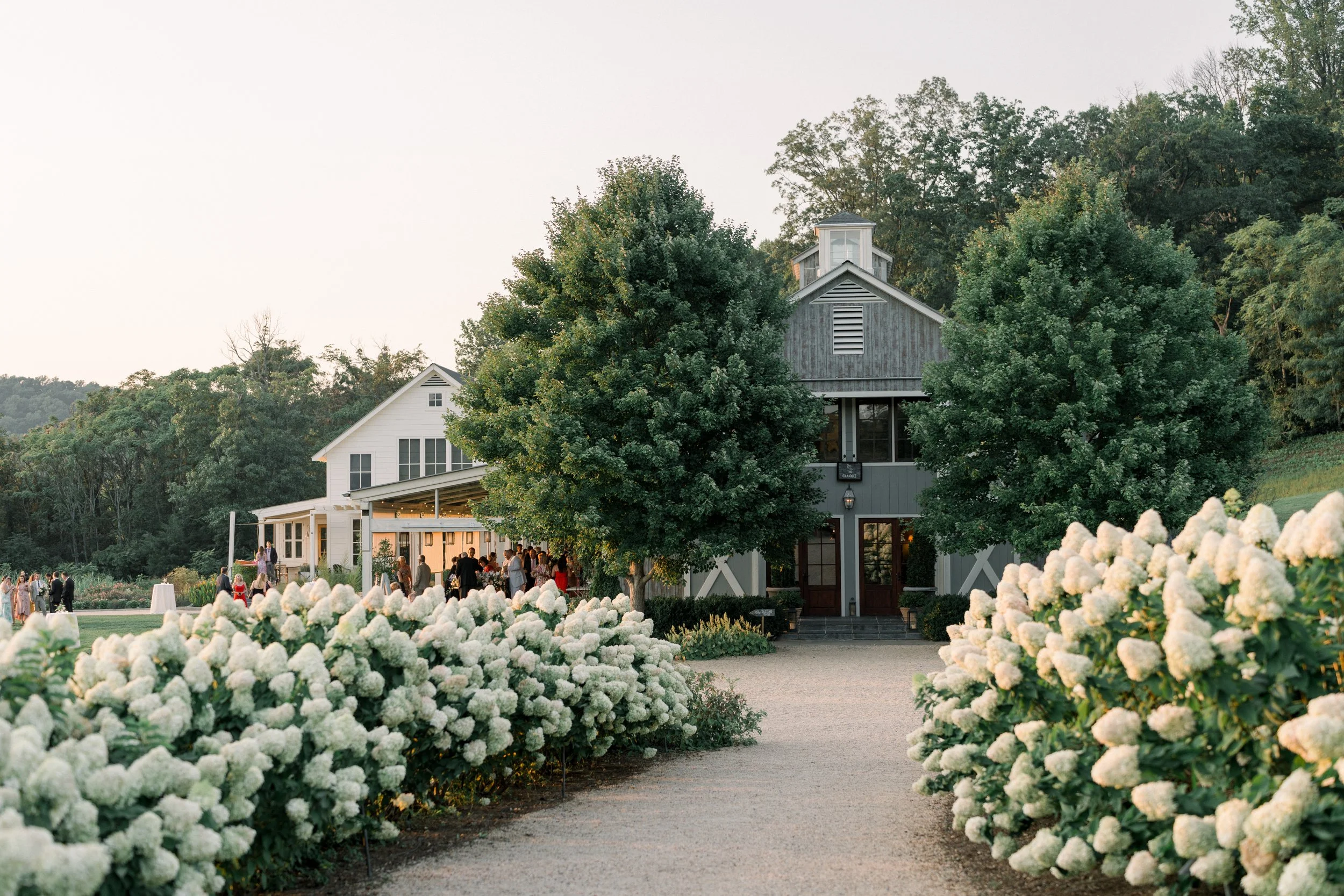 Pippin Hill, Virginia