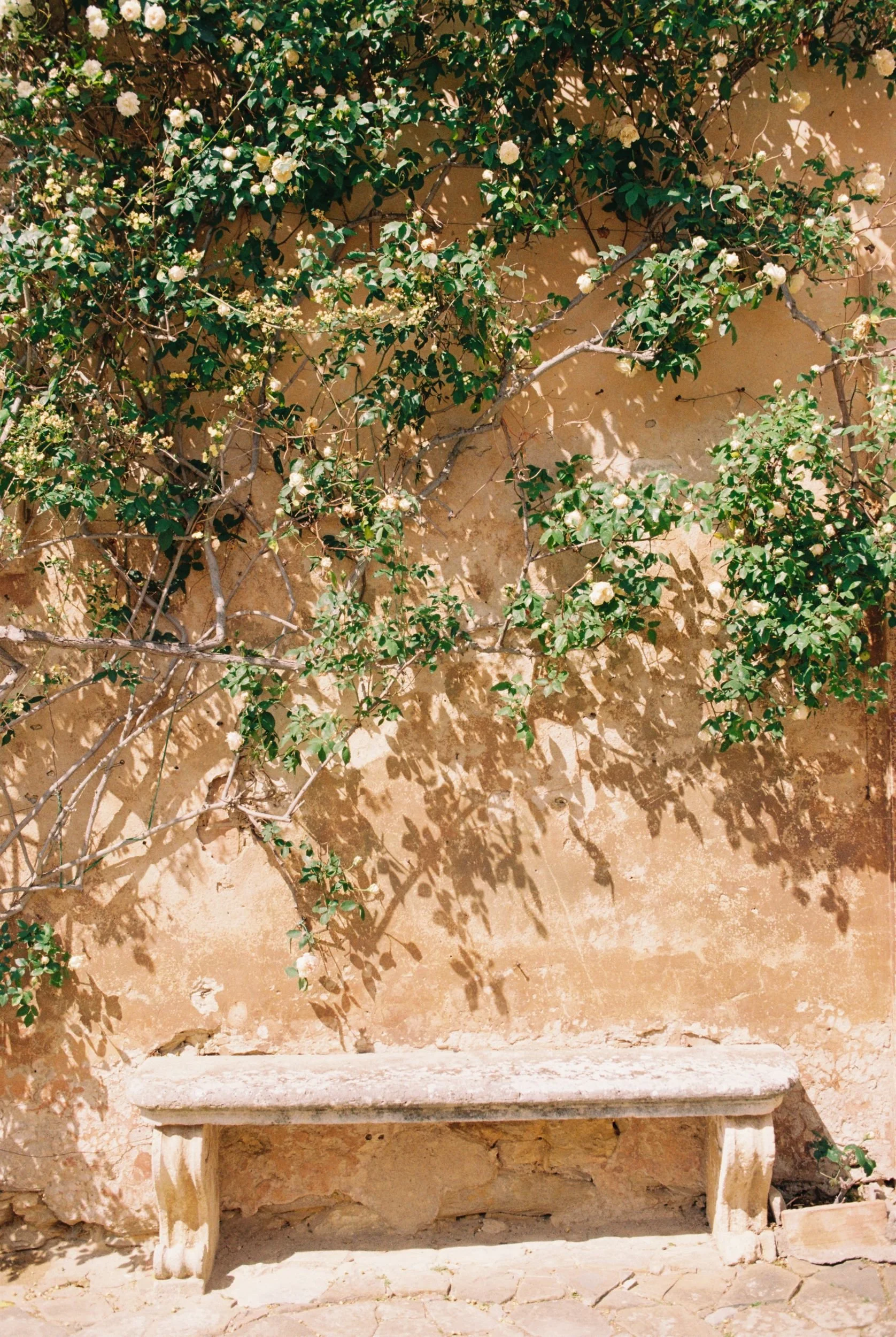J&T film-35.jpg