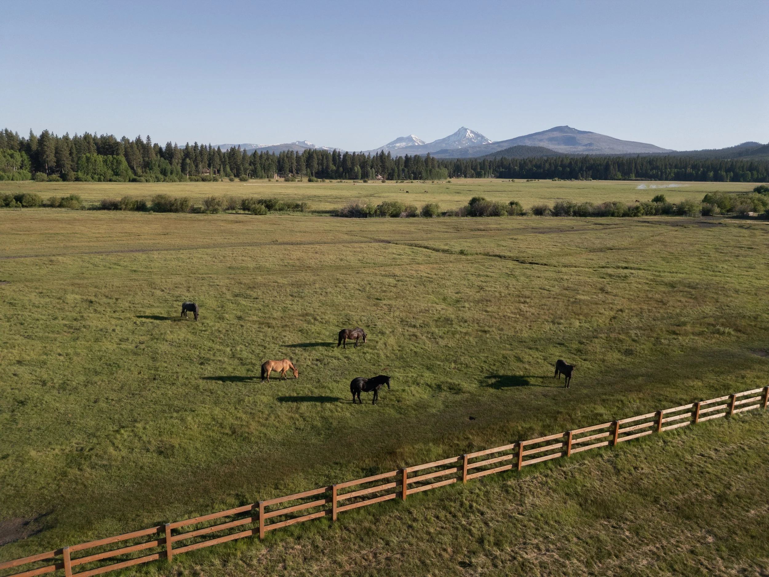 CHP-Marjorie-Wheeler-Black-Butte-Ranch-Wedding-0005.jpg