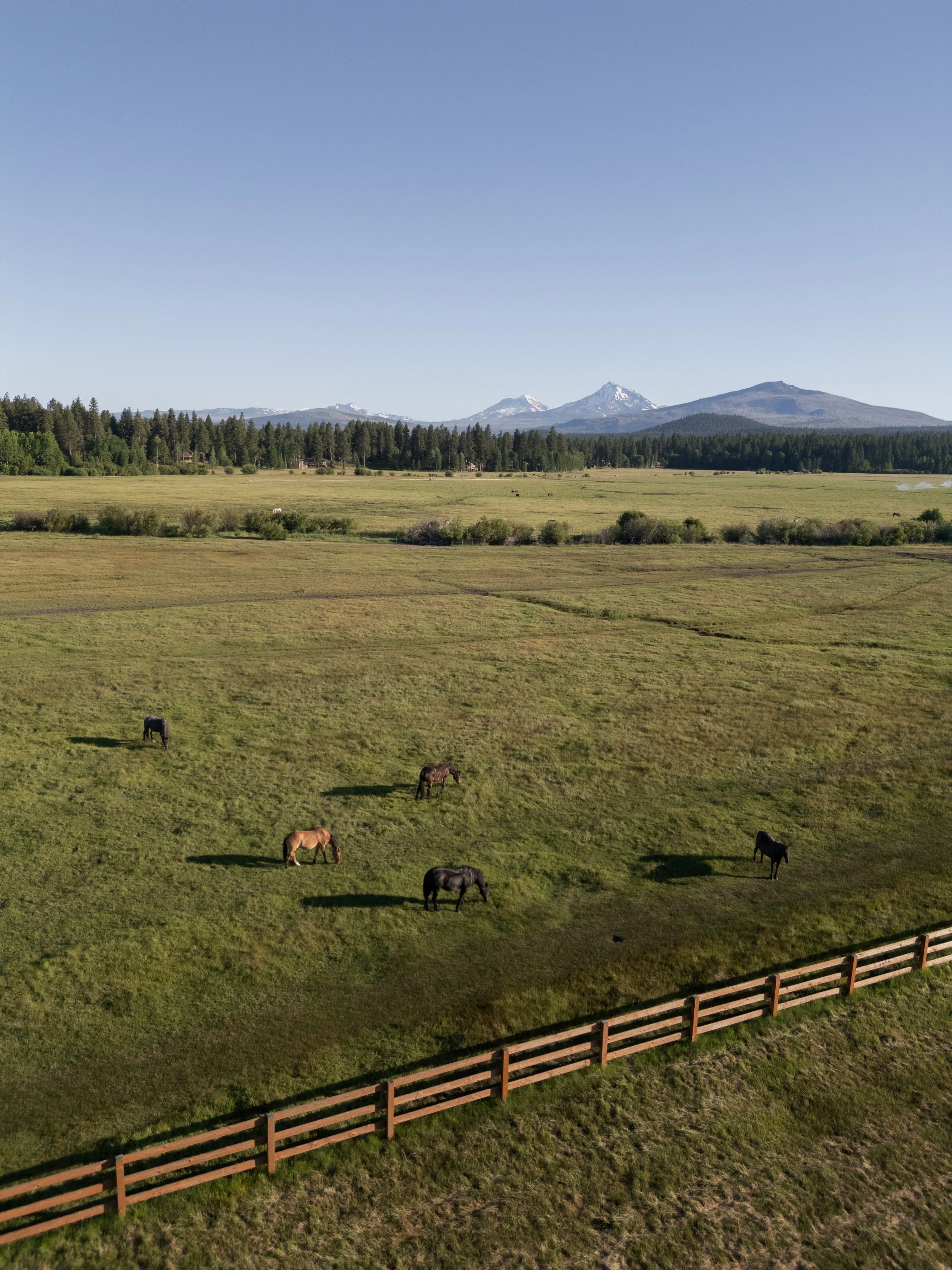 CHP-Marjorie-Wheeler-Black-Butte-Ranch-Wedding-0930.jpg
