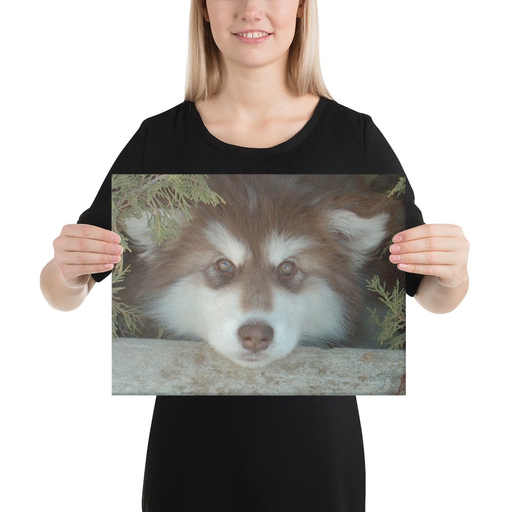 canvas-(in)-12x16-person-6213bd10b2093.jpg
