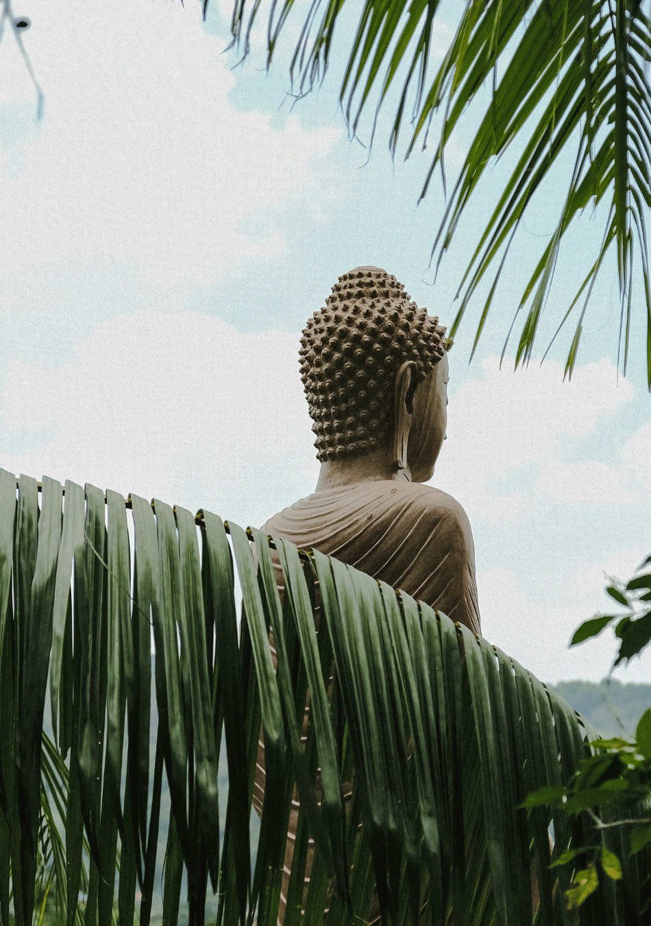 What is Buddhist Psychology? A Buddhist Therapist Explains