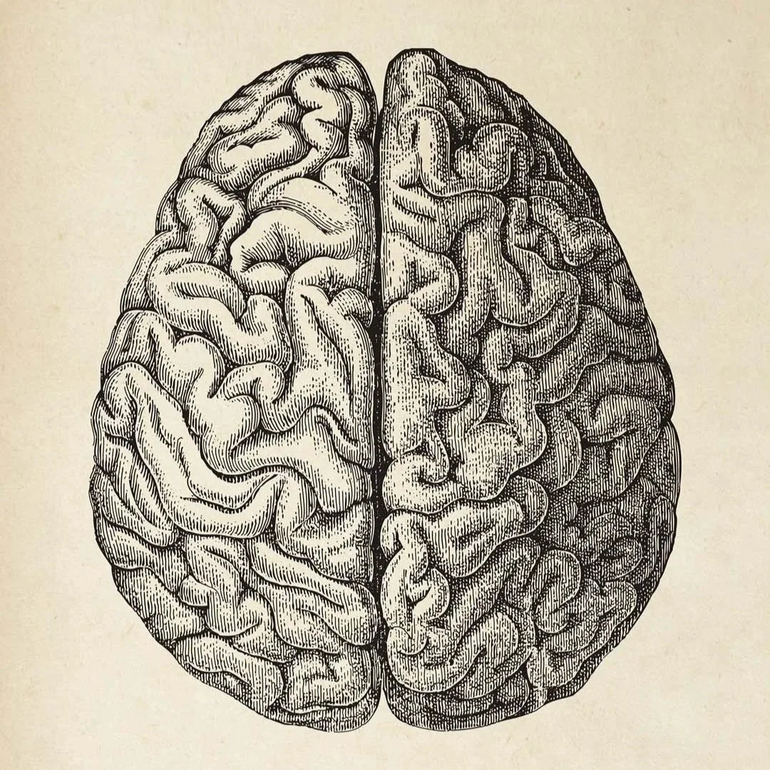 Brain Attack