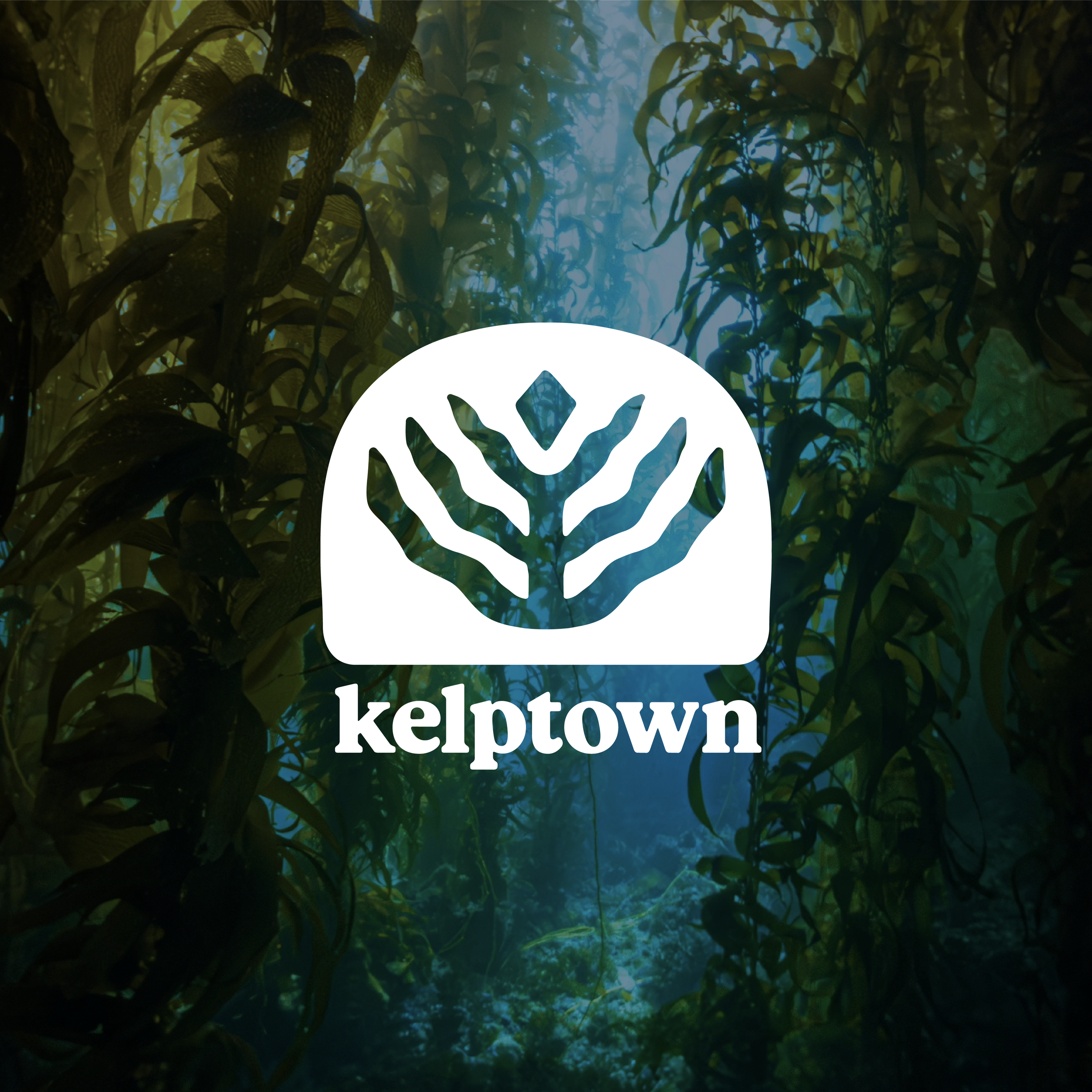 Artboard 1 copy 3@4x.png