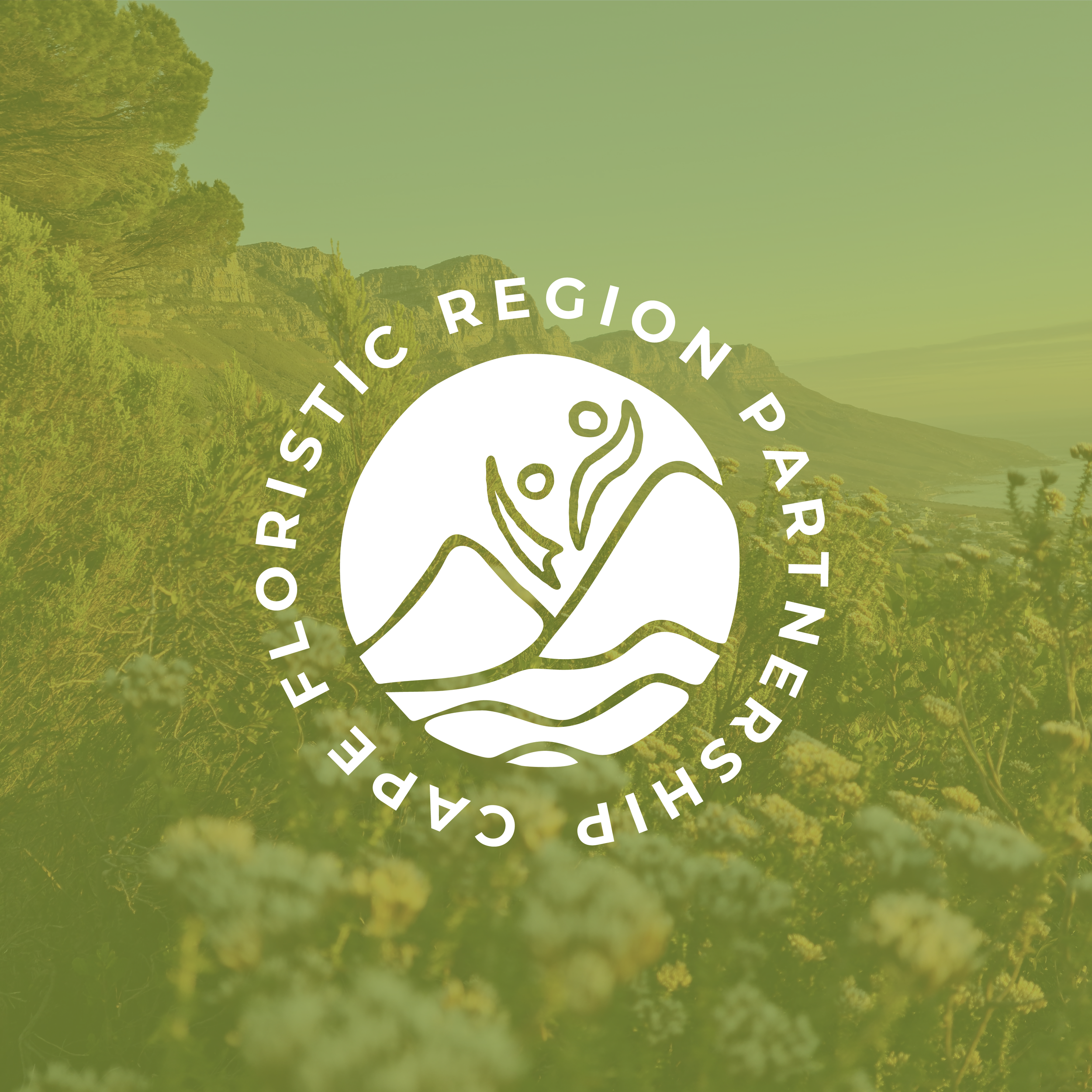 Artboard 1 copy 4@4x.png