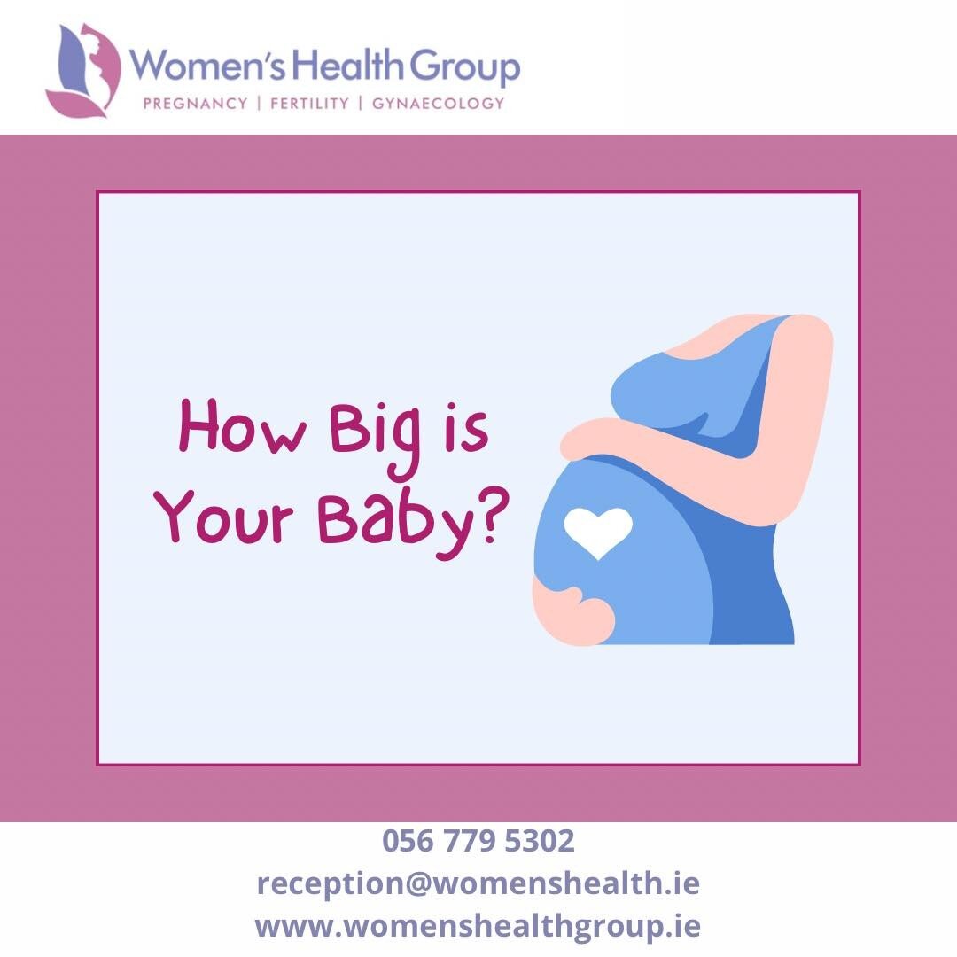 Comparing the size of baby to fruit and vegetables 🍏🥦 

#pregnancy #womenshealthgroup #womenshealthgroupkilkenny #weekspregnant