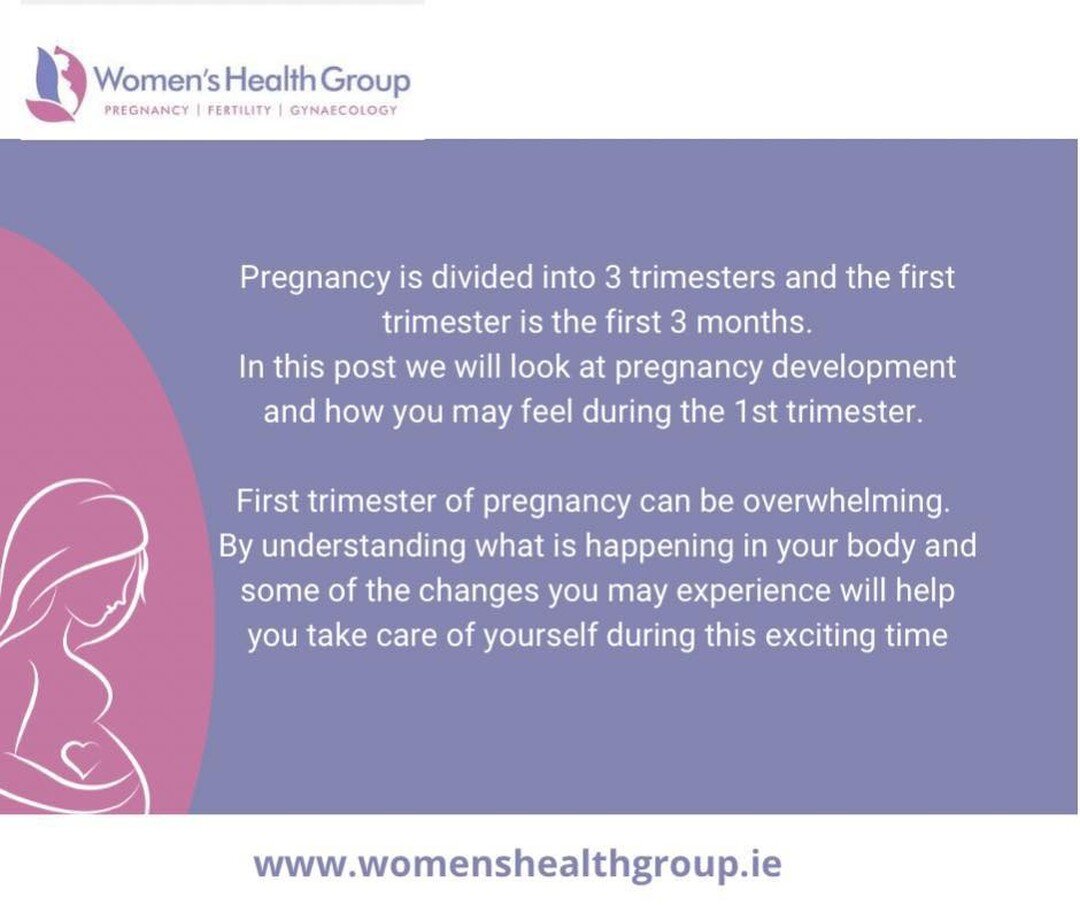 The first trimester. You may not look pregnant yet, but chances are you're feeling it.

The first trimester of pregnancy is an amazing transformation and it happens very quickly.

Knowing what changes to expect during the first 3 months can help you 