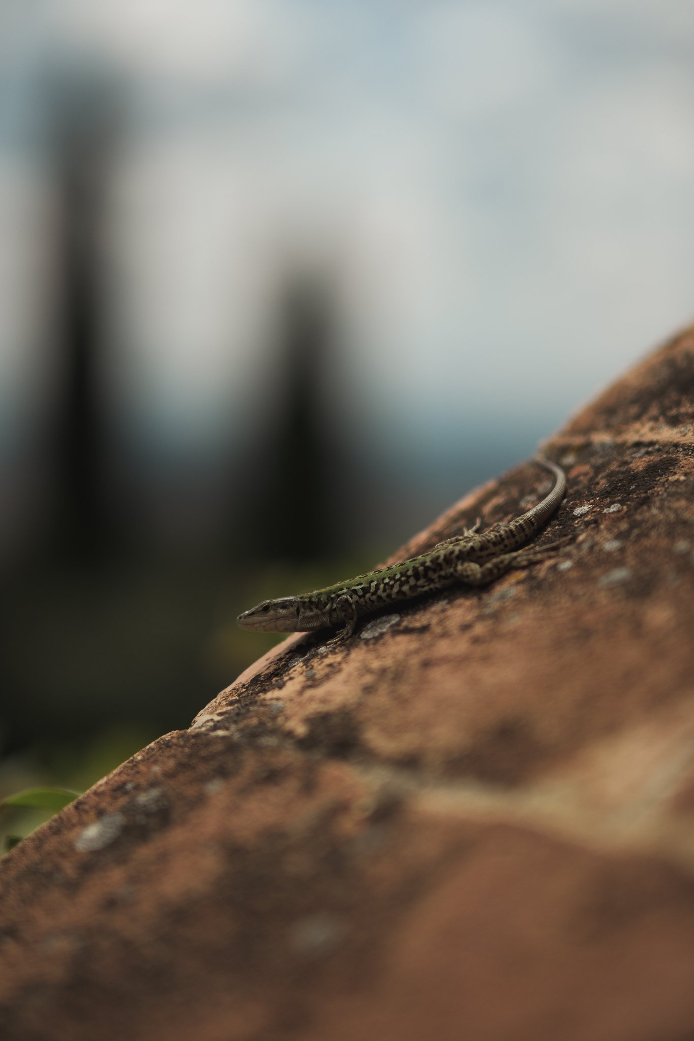 Portfolio up-37.jpg
