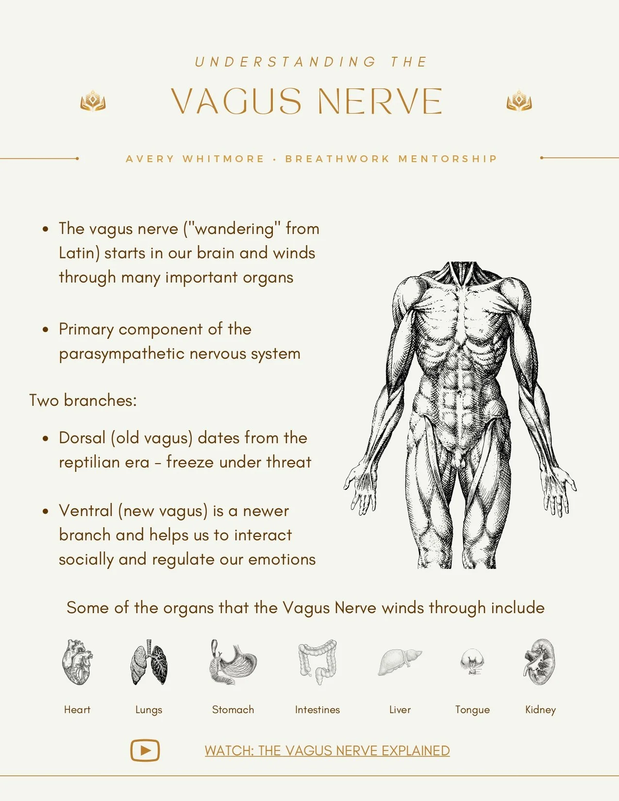 AVERY MENTORSHIP PAGES_page-0004.jpg