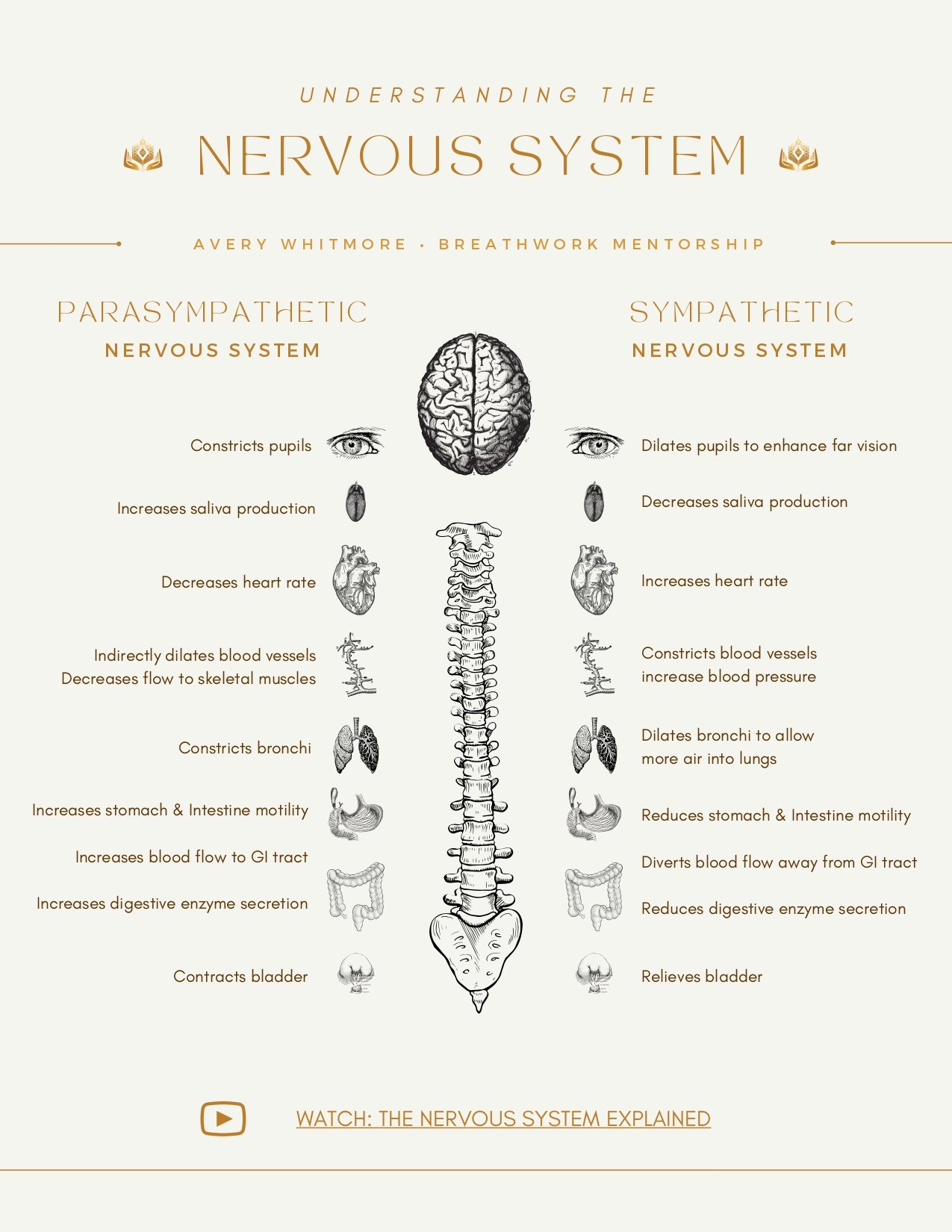 AVERY MENTORSHIP PAGES_page-0001.jpg