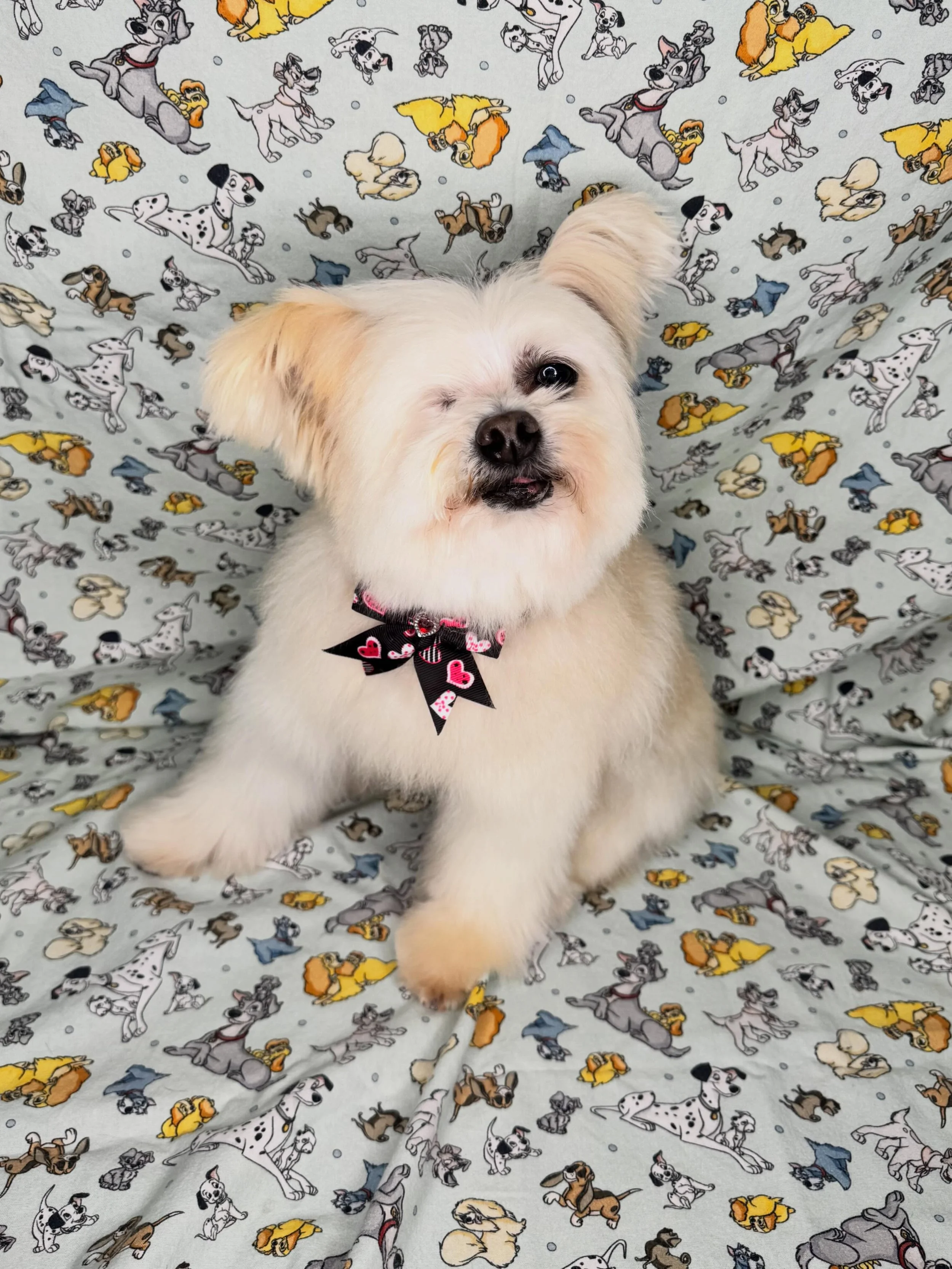 Mia &hearts;️