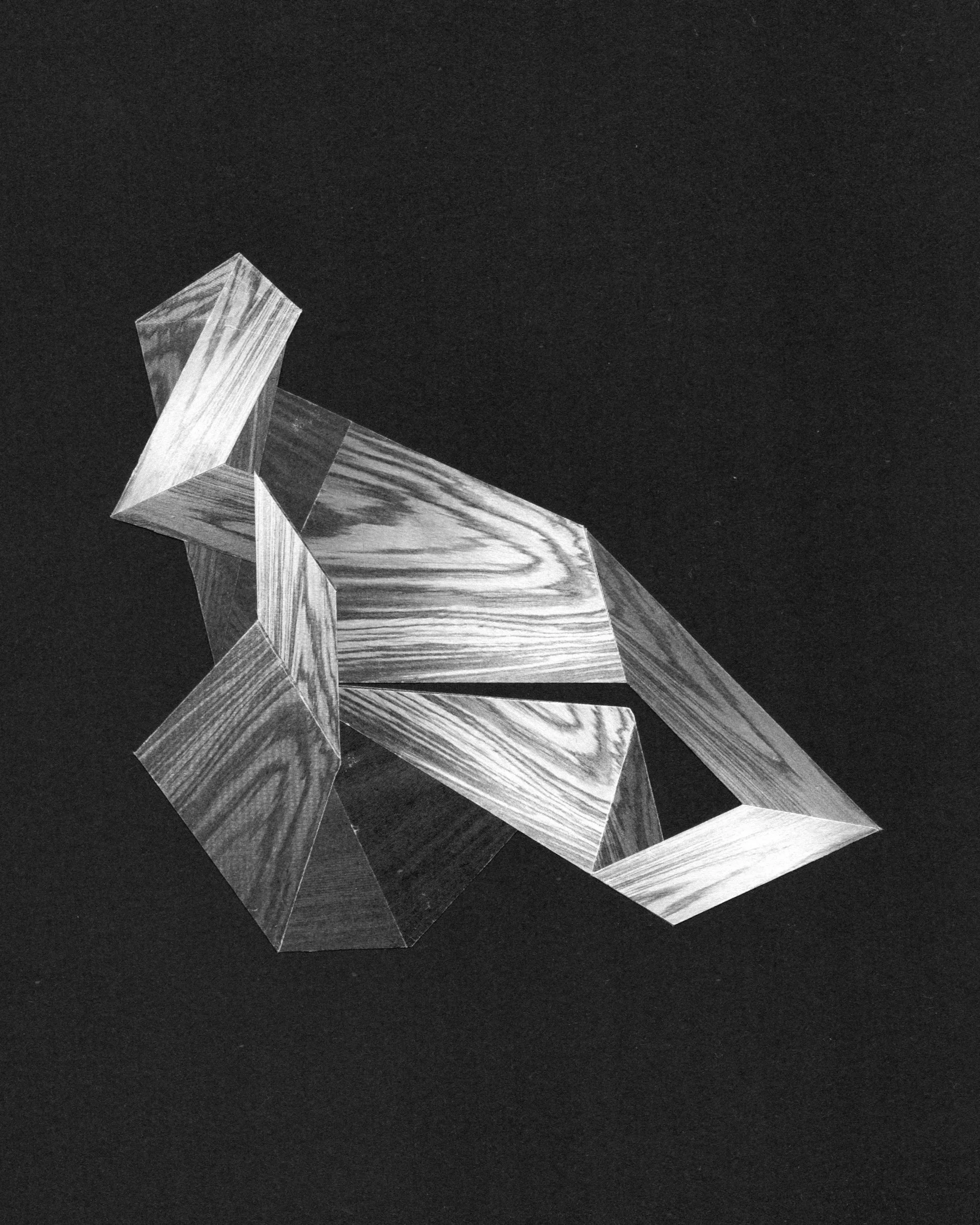 Photocopied Object 7.jpg