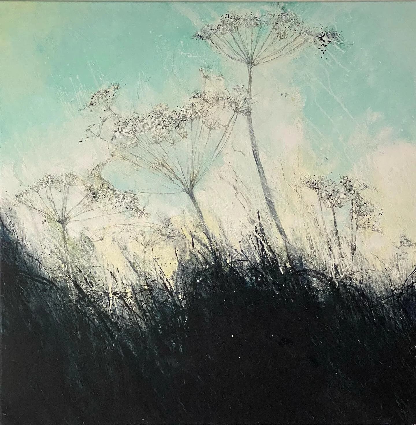 Cow Parsley Season
.
This large painting called &lsquo;Perranuthnoe&rsquo; sold yesterday, heading up to Lincolnshire by courier . 
Thrilled it&rsquo;s found a new home 💫
.
All welcome to my studio today &amp; tomorrow 
11-5 

🖤
.
.
#cowparsley 
#j