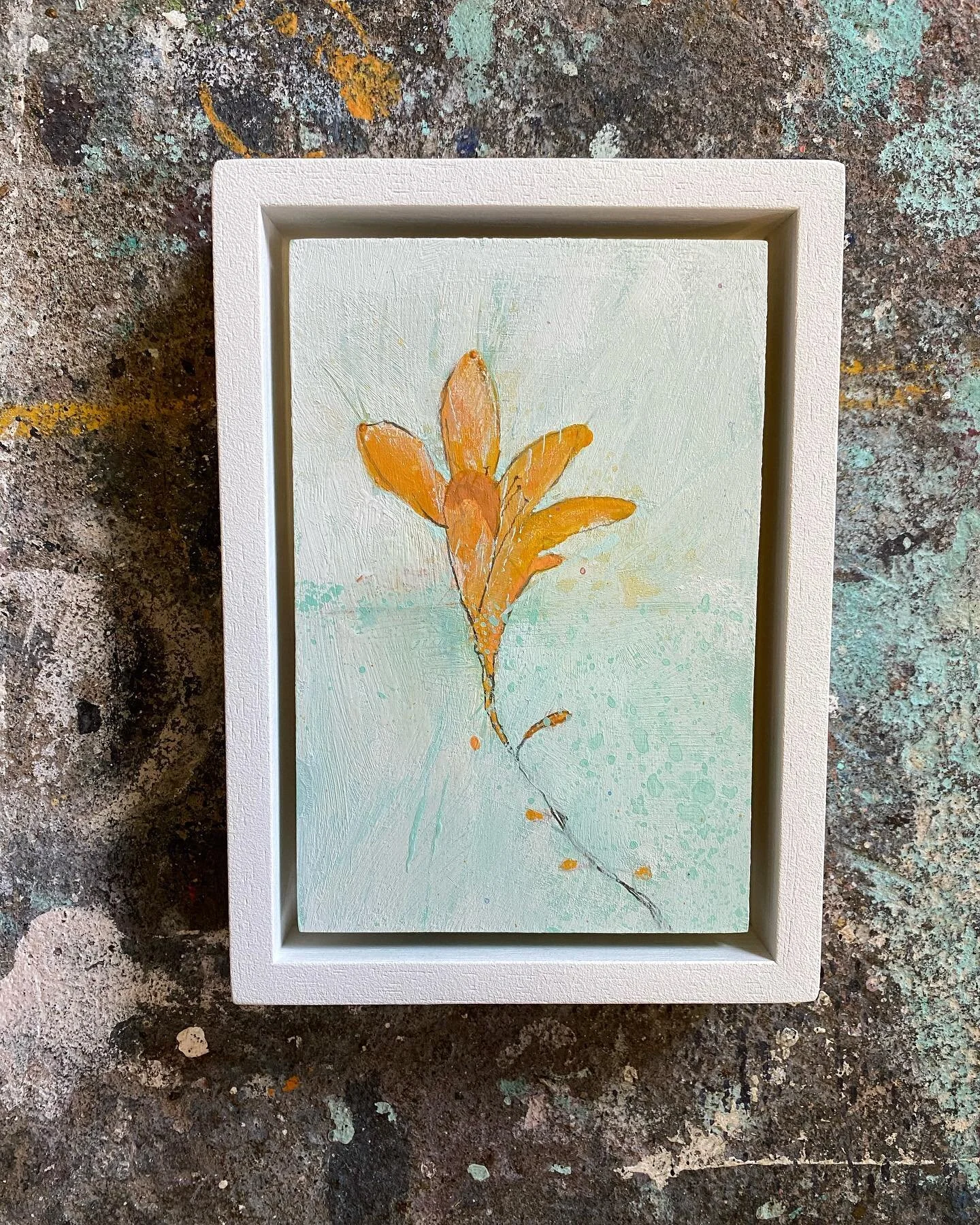 Crocosmia Flower to wish you all a mellow Sunday.
.
It&rsquo;s the last day of Open Studios @openstudioscornwall today 
Open til 5 
.
Small paintings celebrating summer are here &hellip; 
🧡
.
.
#crocosmia #orangeflower #summerlove #kernowfornia 
#wi