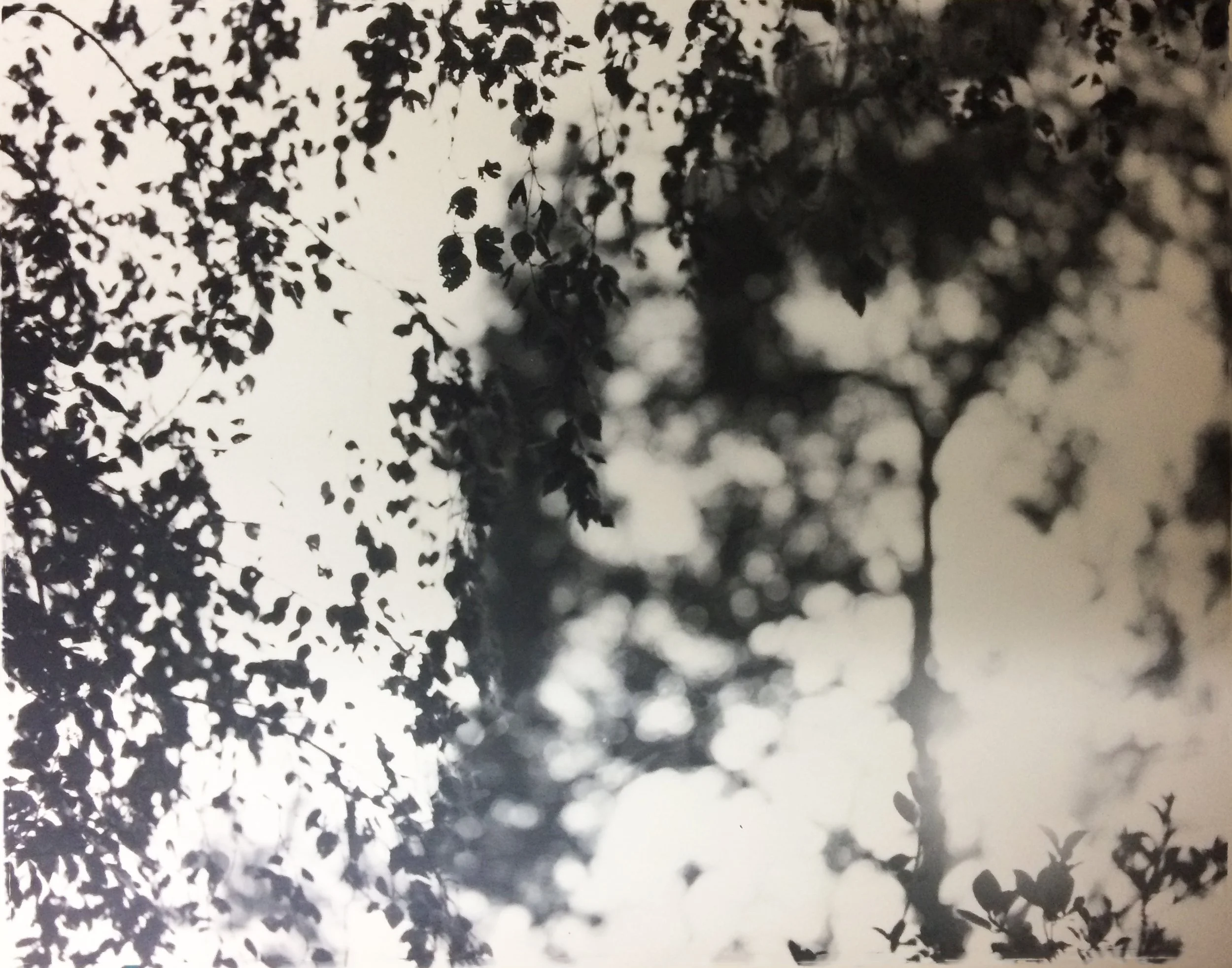 Documentation of Residency