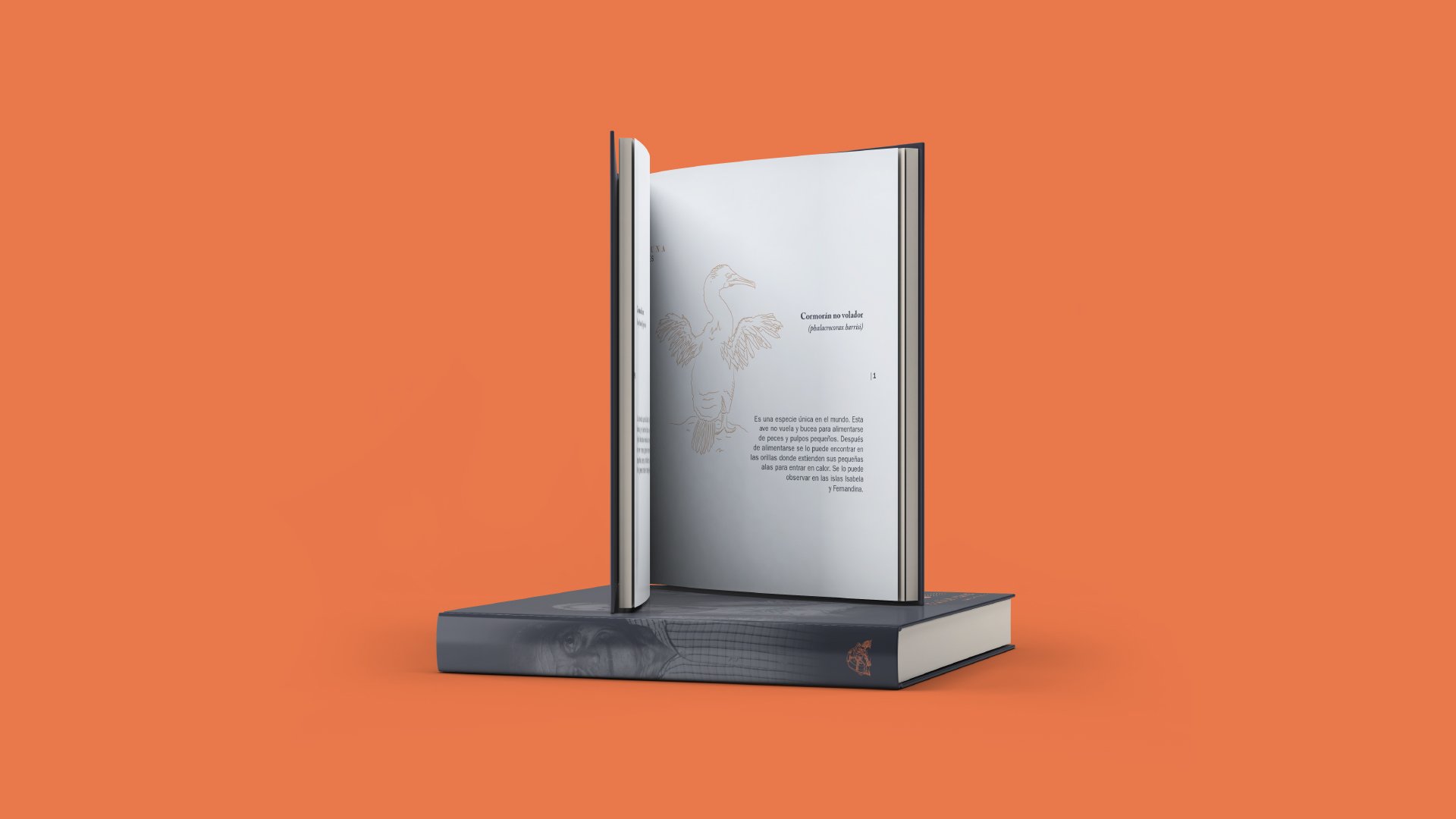 Book design. Galapagos, life in paradise
