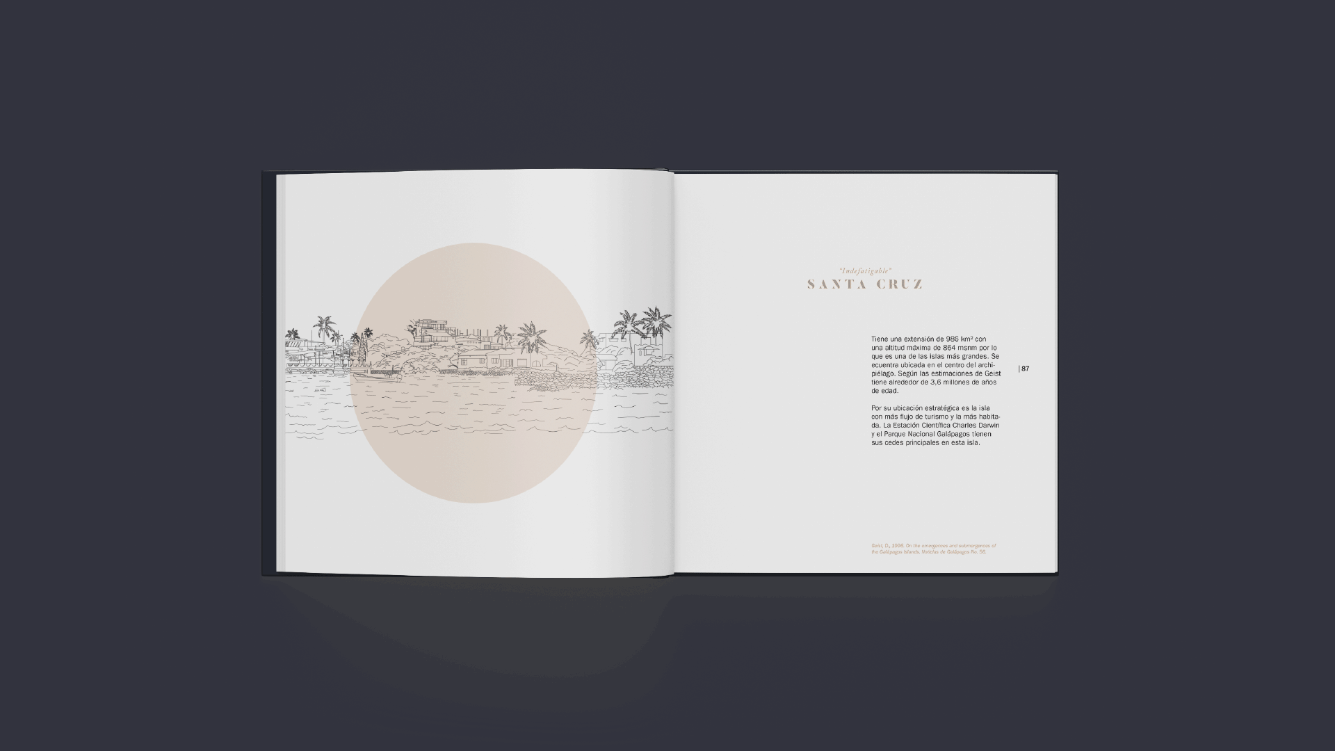 Book design - pages layout