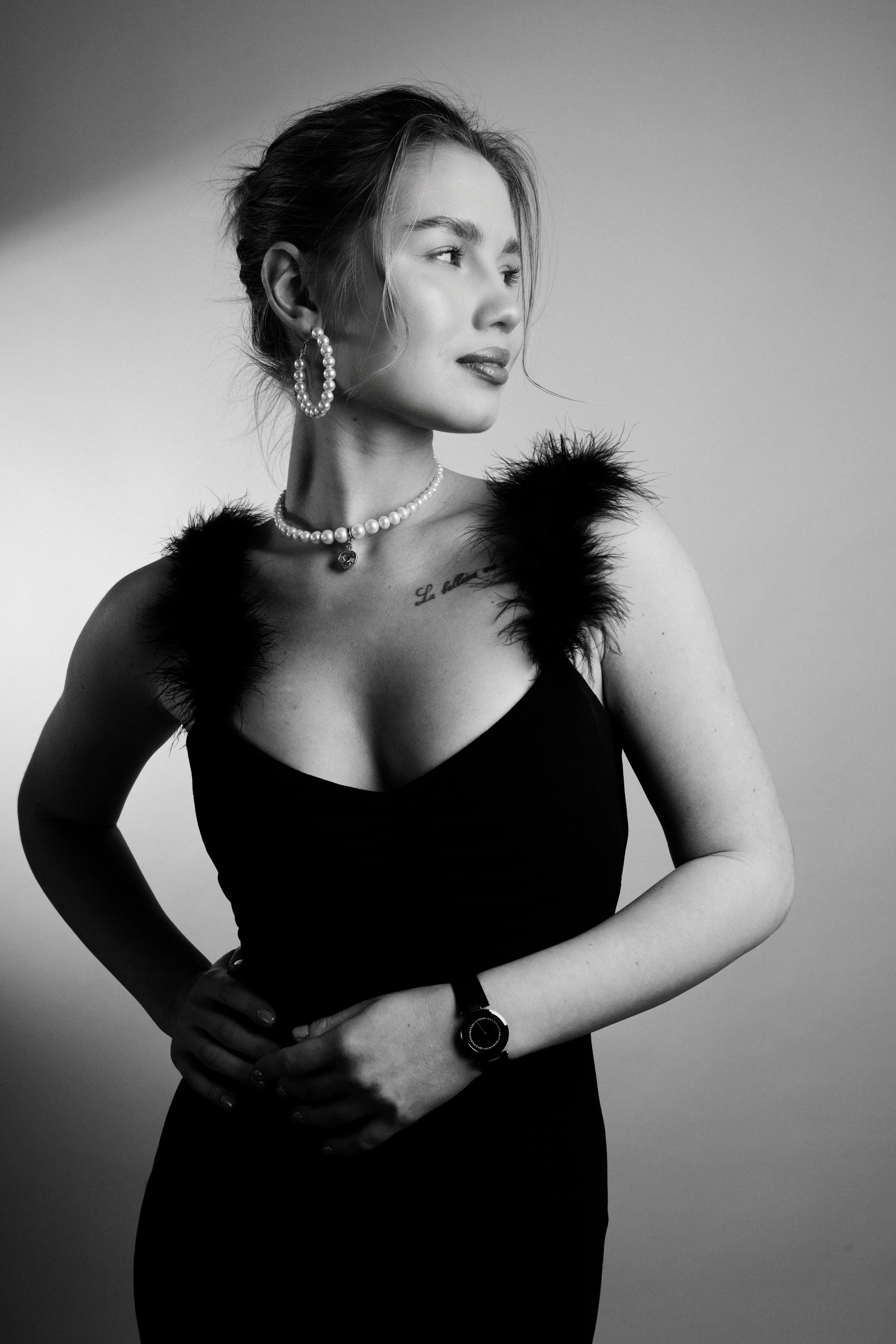 Vlada
