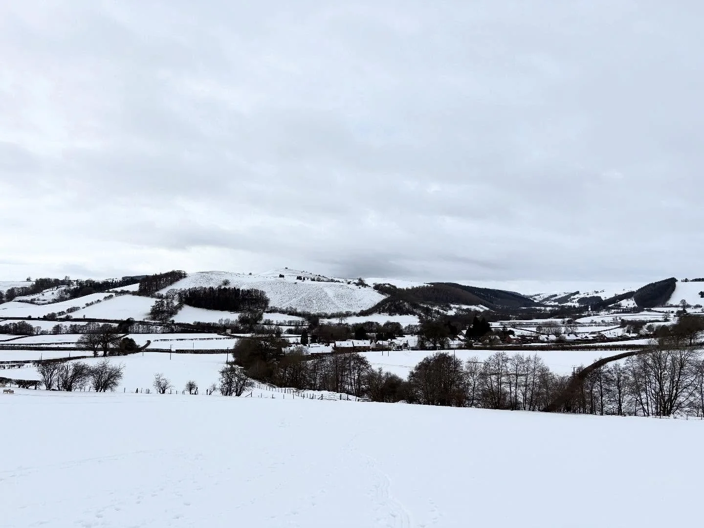 Happy new year 🌑 wishing you all a peaceful mid winters rest if like me, that&rsquo;s more your vibe. I&rsquo;ll be socially hibernating to recover from the busy Christmas period!

Snow that came in fast and furious a few days ago, all melted away n