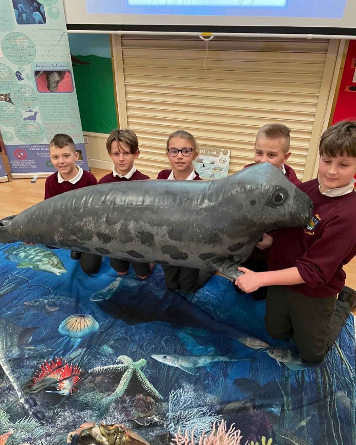 Another exciting visitor at Skipsea today- the Marine Conservation Society arrived to take a session about Yorkshire seals. The children learned lots about seals, and the threats they face. A fantastic opportunity to apply the science we have learned