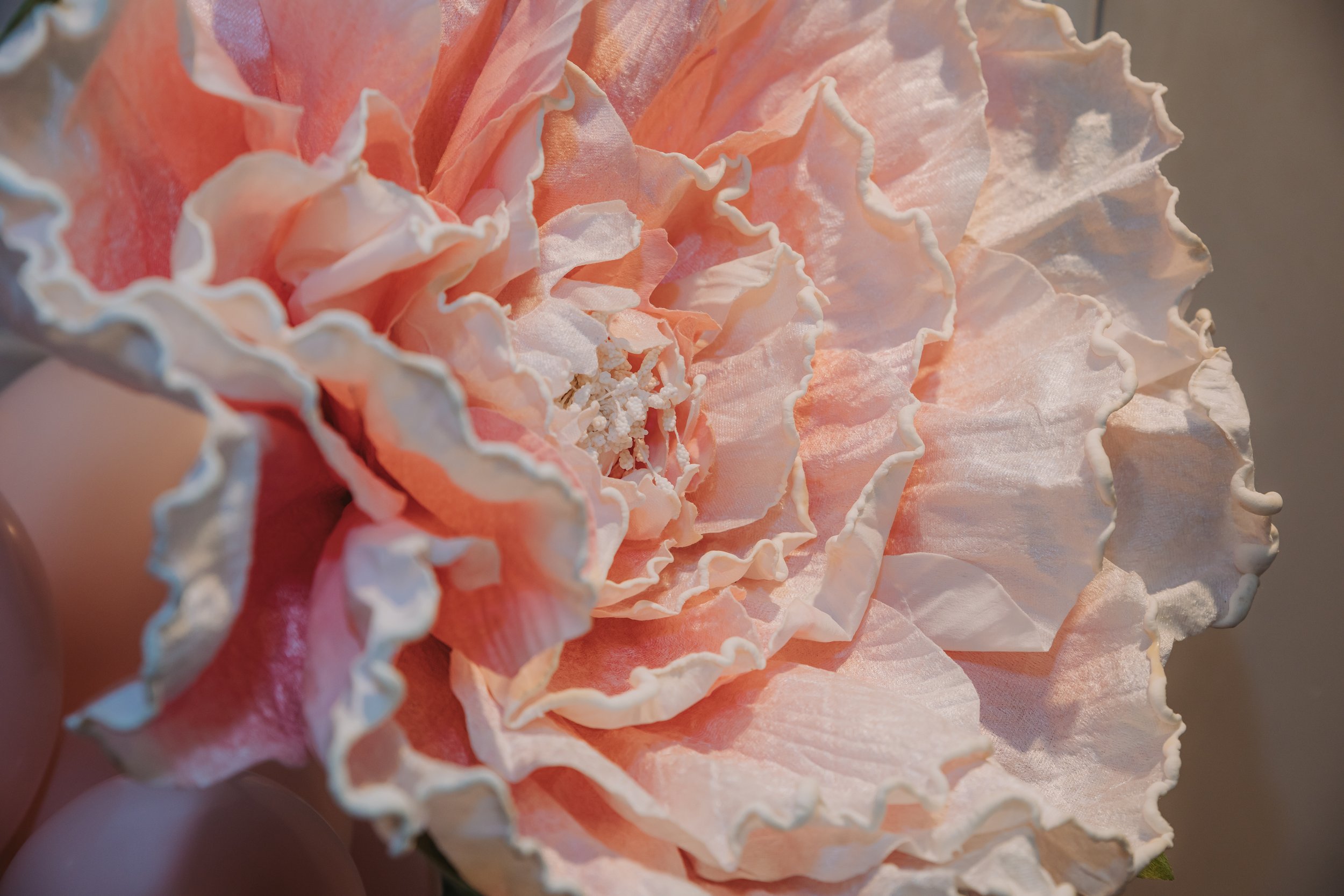 File 00254.jpg