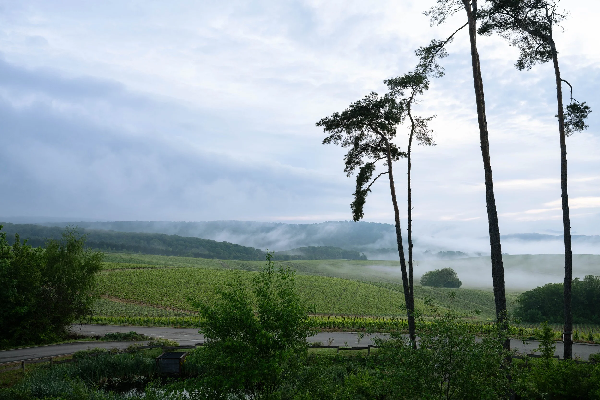 DSC_3482.jpg