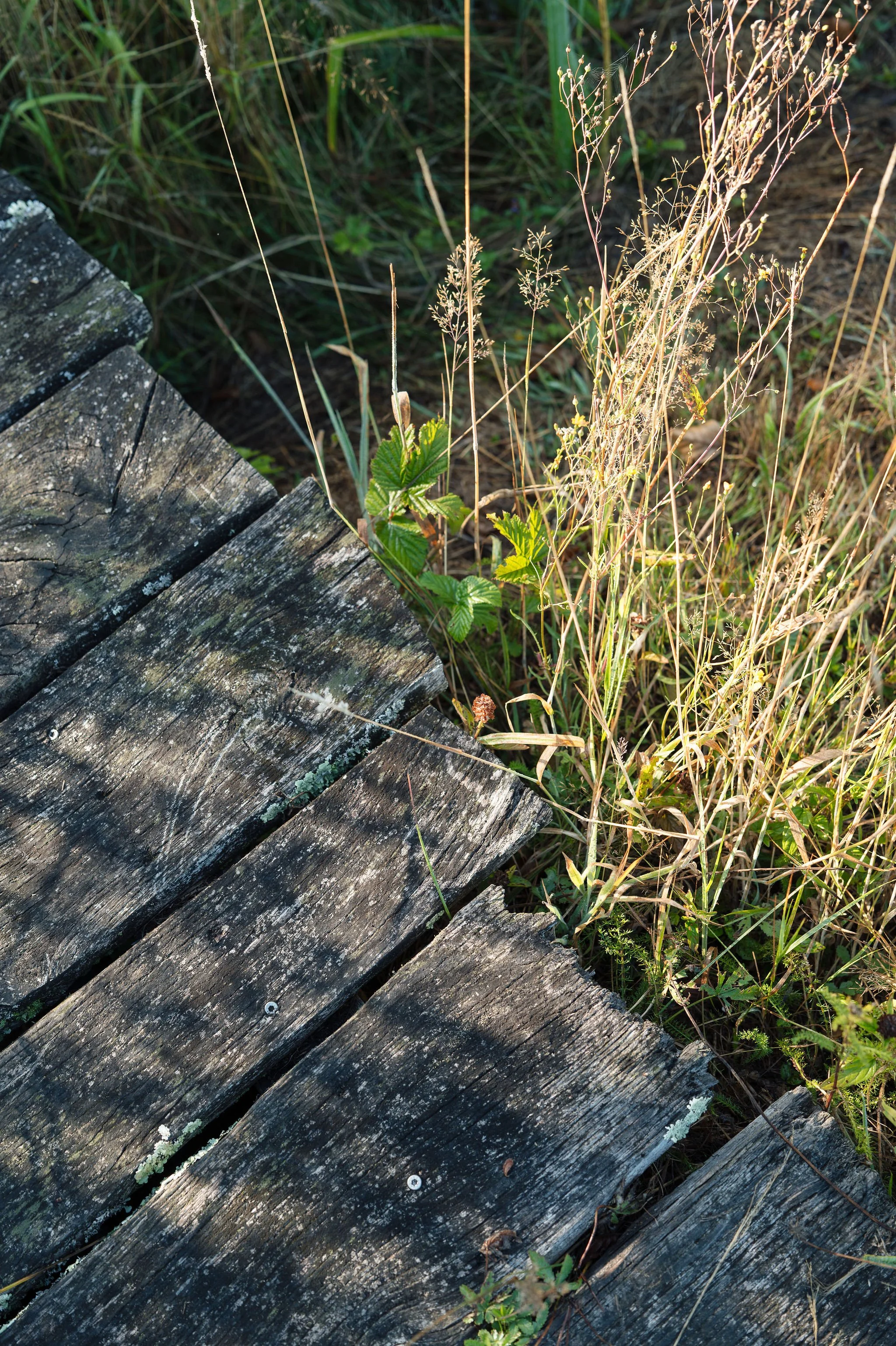 L1016321.jpg