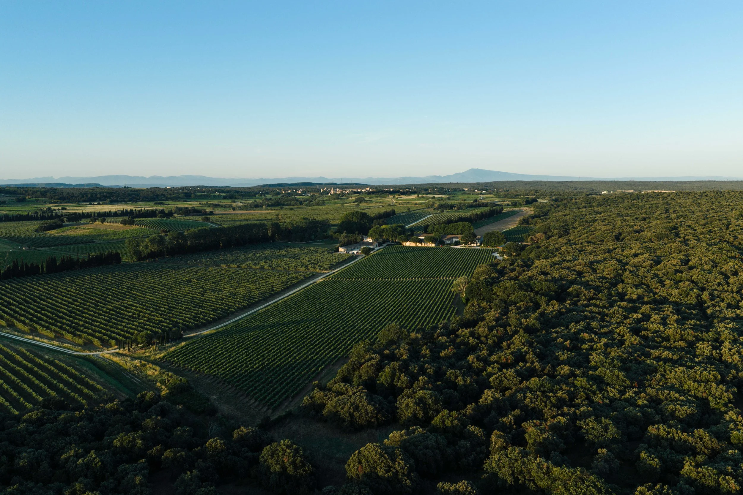 DJI_20260607205150_0052_D.jpg