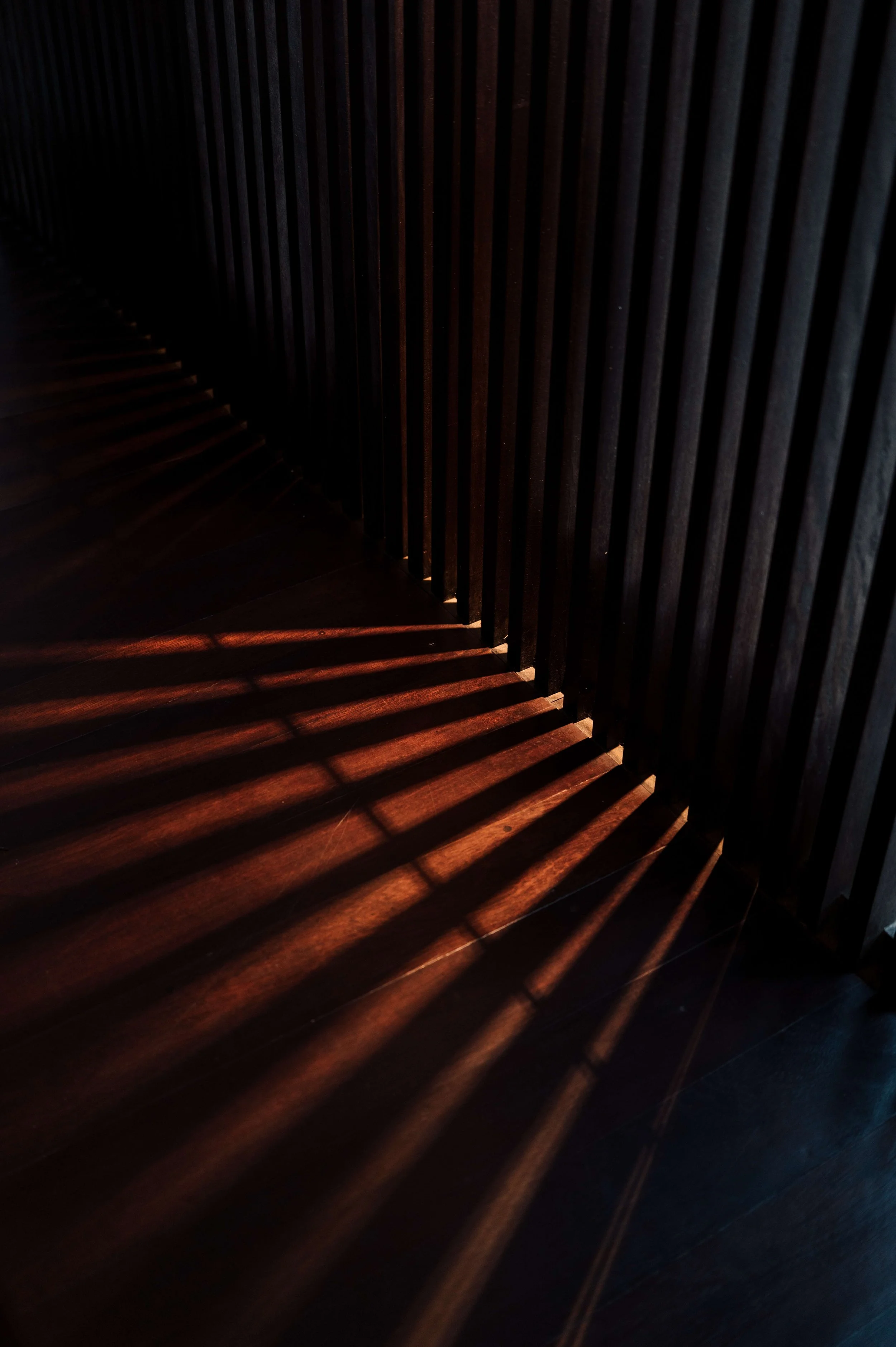L1011187.jpg