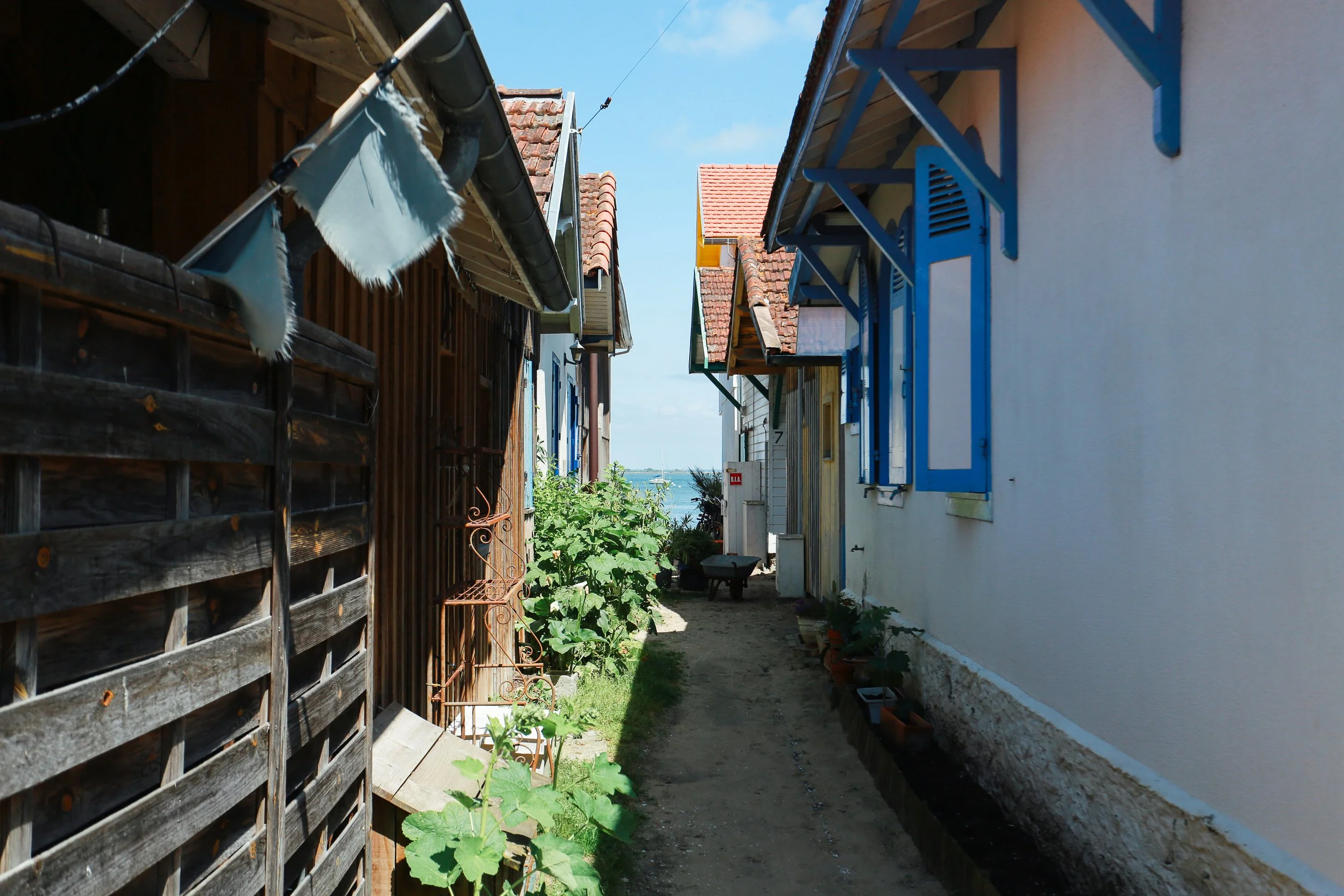 AB7A9774.jpg