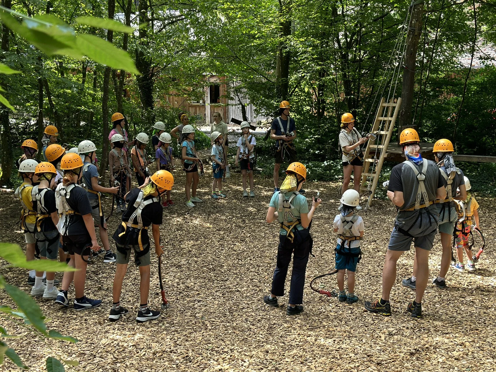 #TCH @Kids: Event im Waldseilgarten