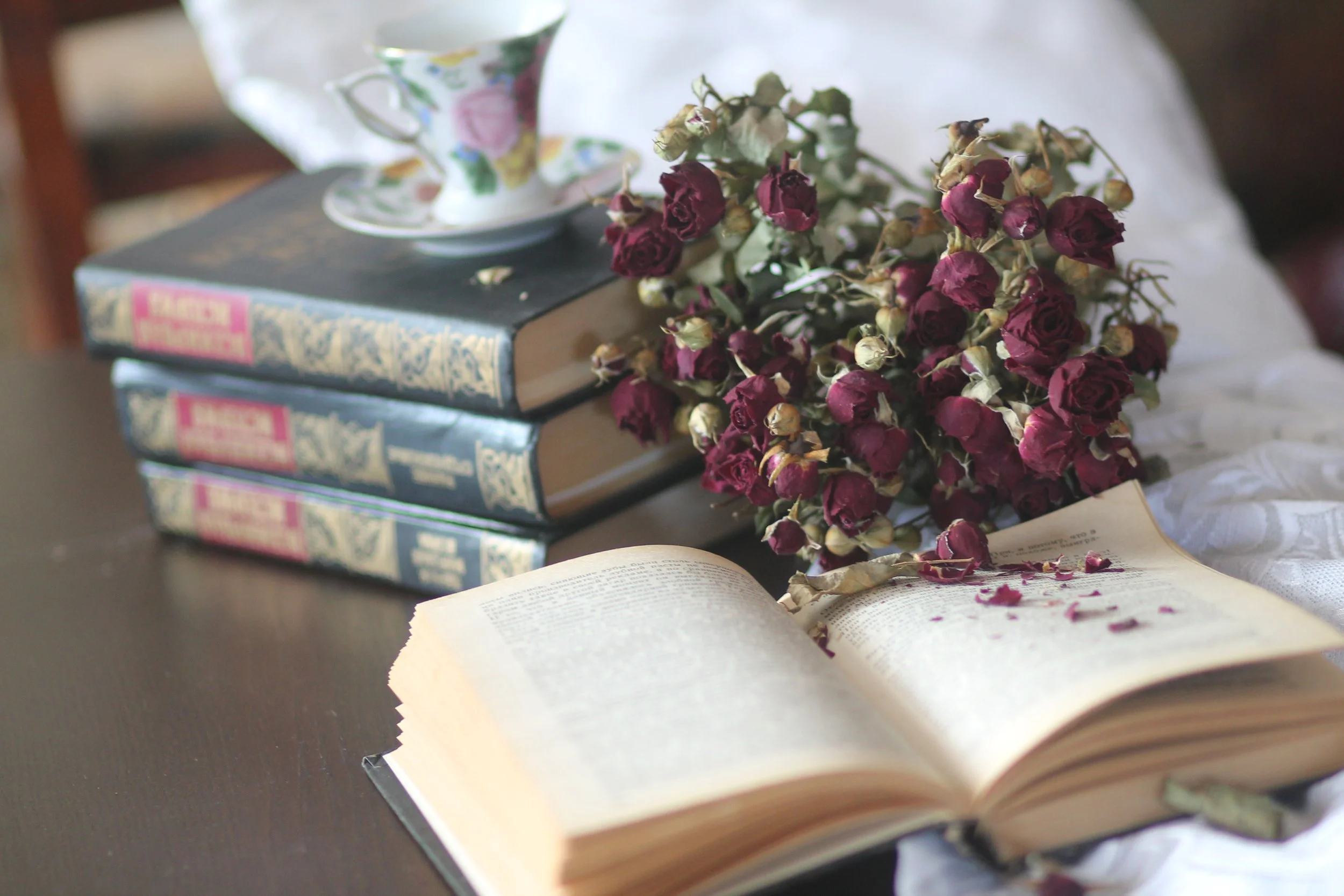 Pride and Prejudice Quotes: The Lines That Still Draw Blood (And Make Us Laugh)