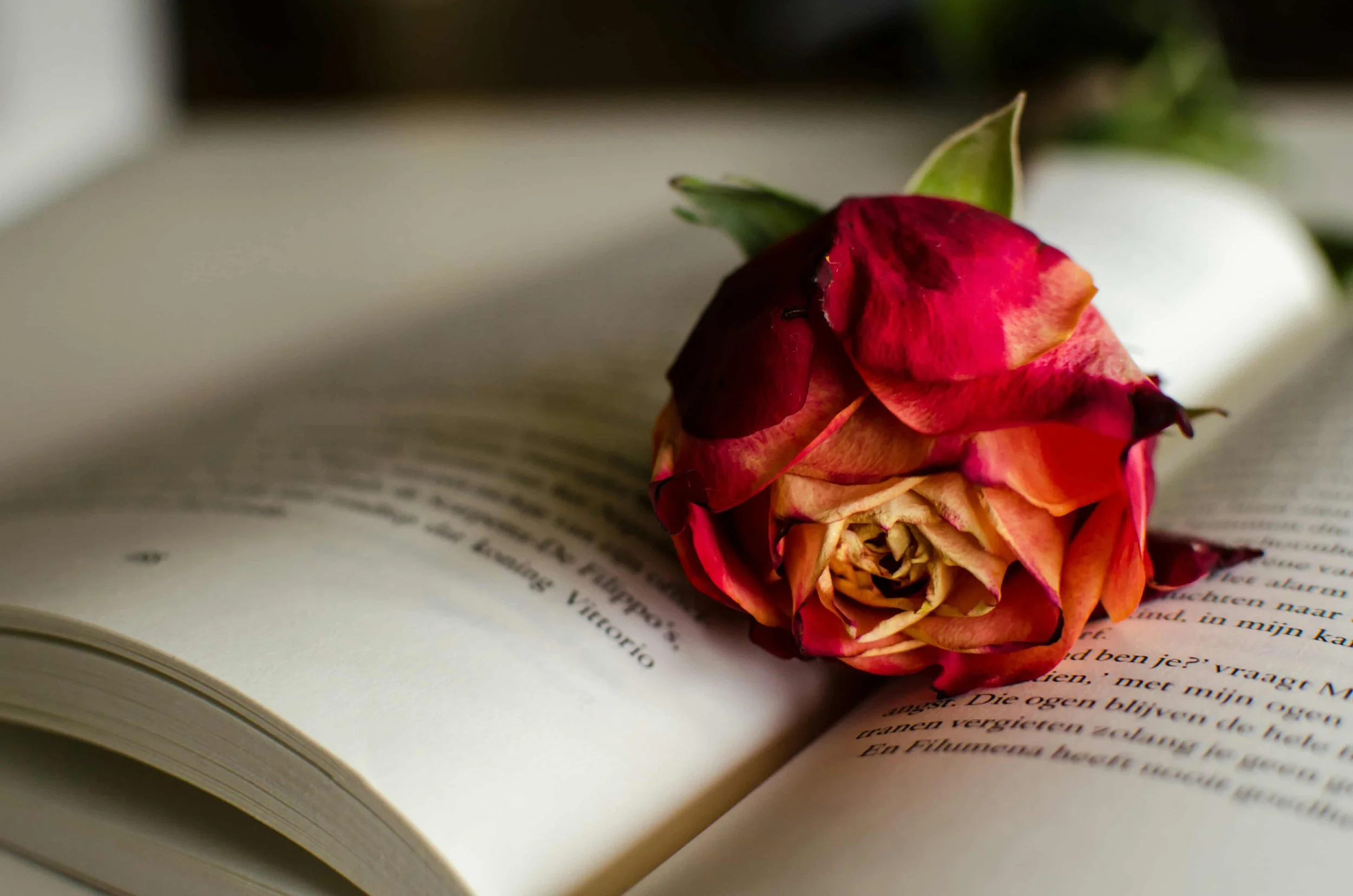 Flowers on a bedside table, sexy eroticism and erotic wo mood for erotic poetry