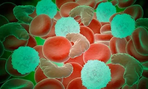 ‘It’s like millions of ants are biting my bones’ – fighting sickle cell disease in Nigeria