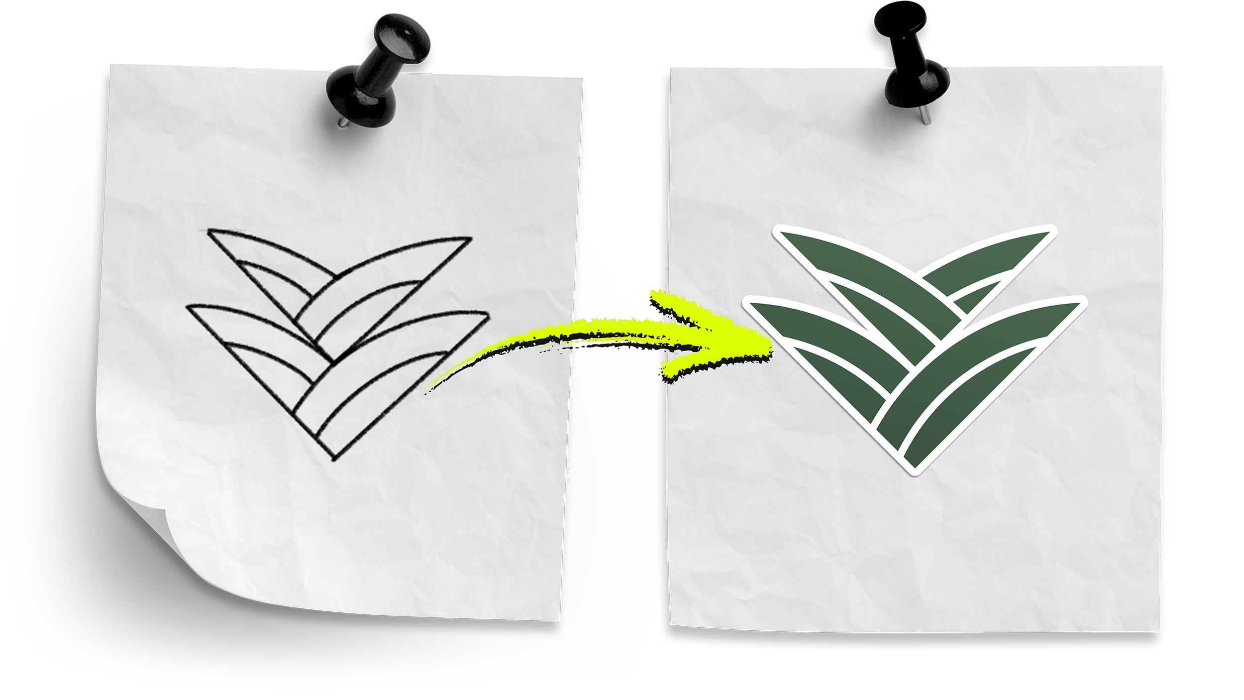 Vera & Vale logo sketch