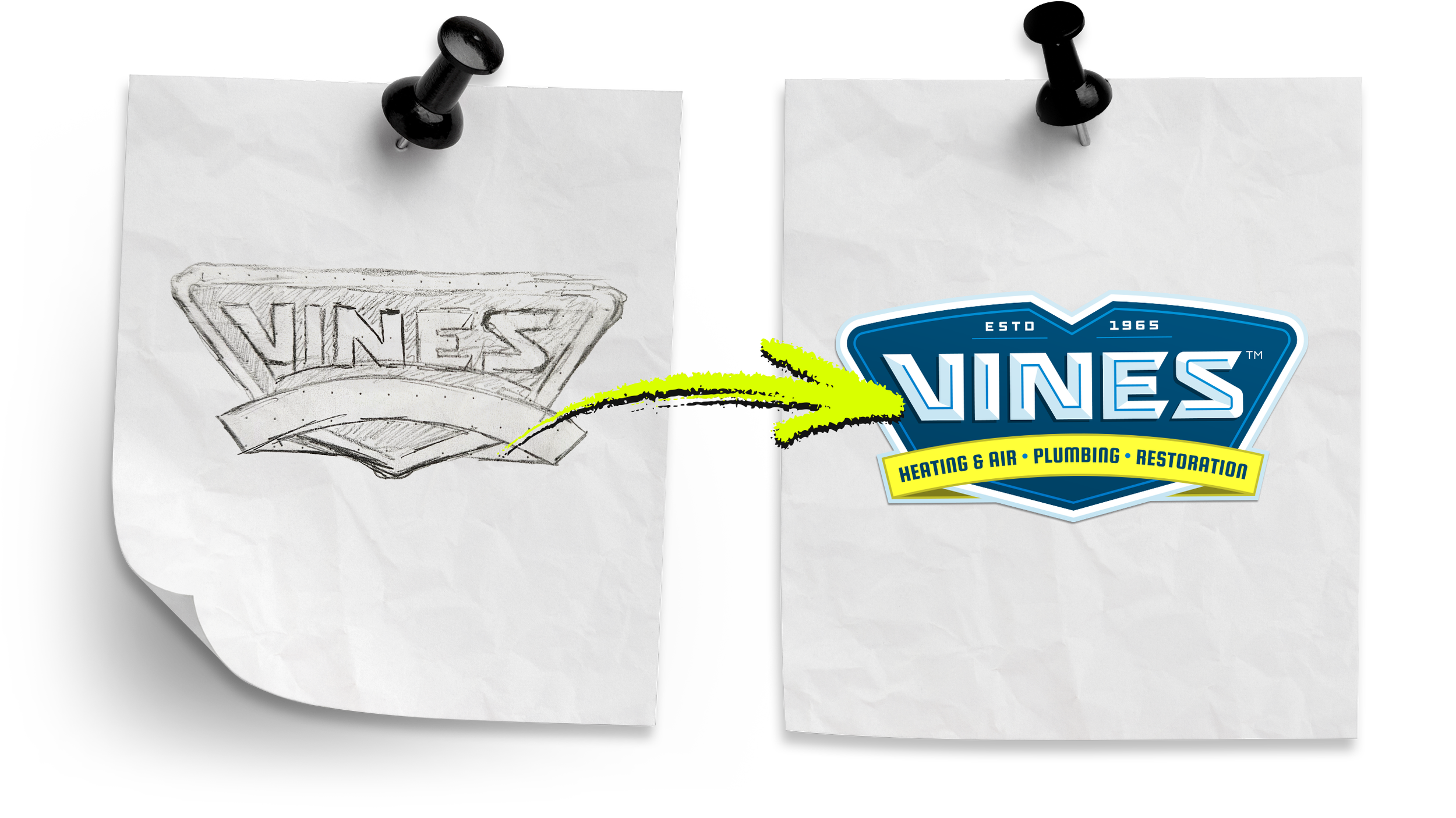 Vines logo sketch