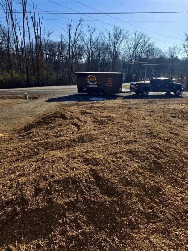 Stump Removal Services