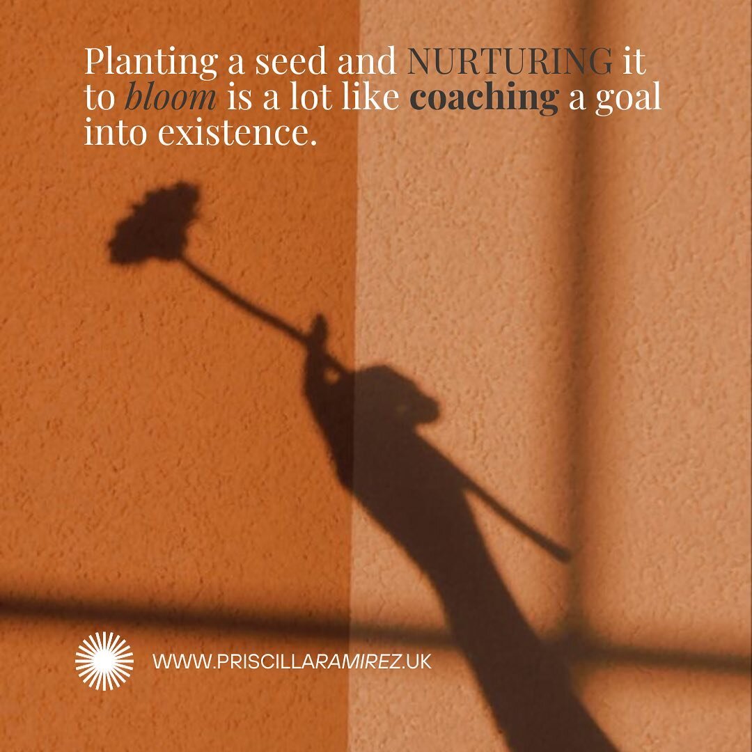 🌱 Planting a seed and nurturing it to bloom is a lot like coaching a goal into existence. 

In order for a seed to grow certain steps need to be considered. Firstly, what type of flower are you growing? knowing this will help you care for it correct