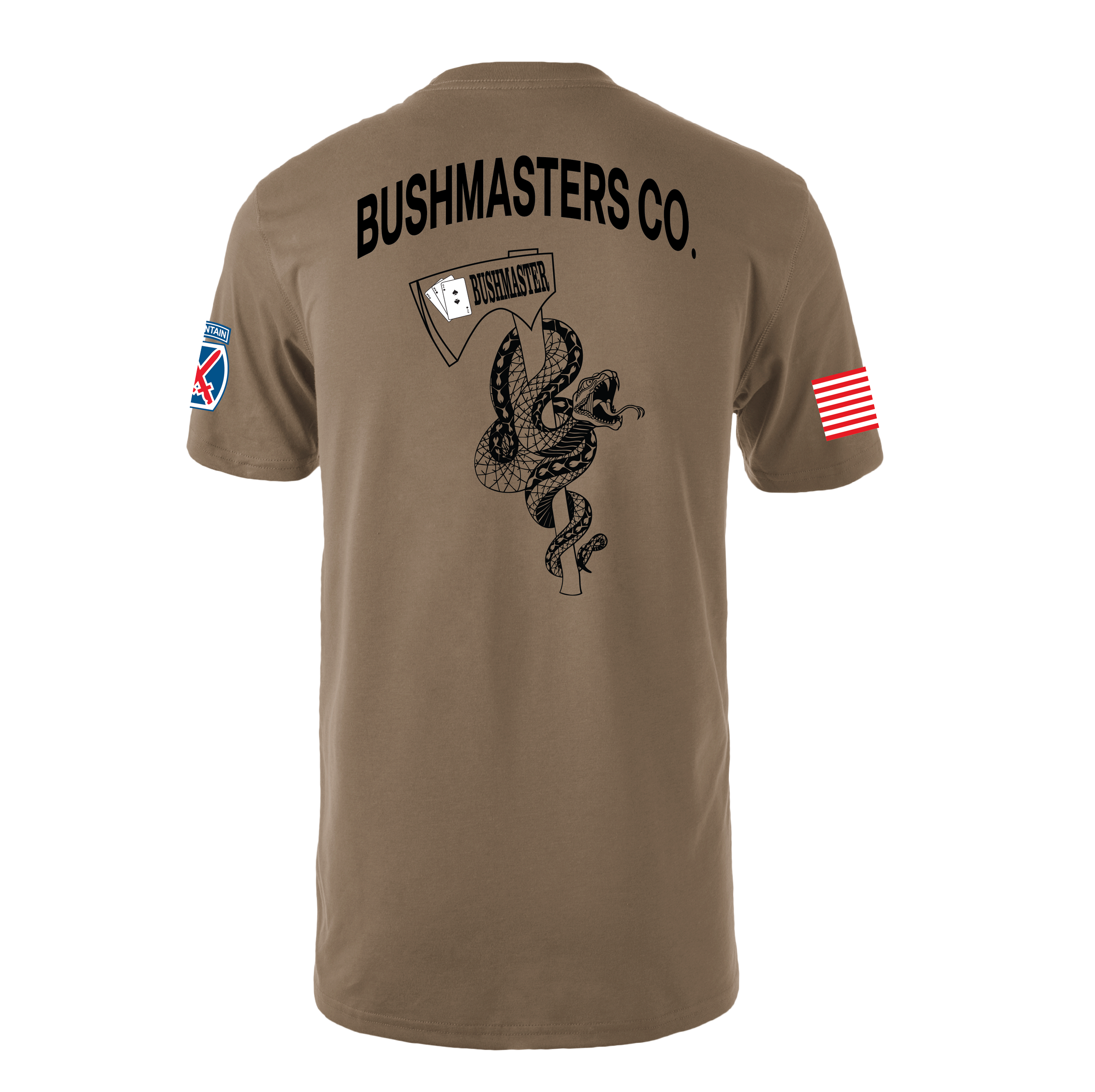 Z100 COYOTE BACK.png