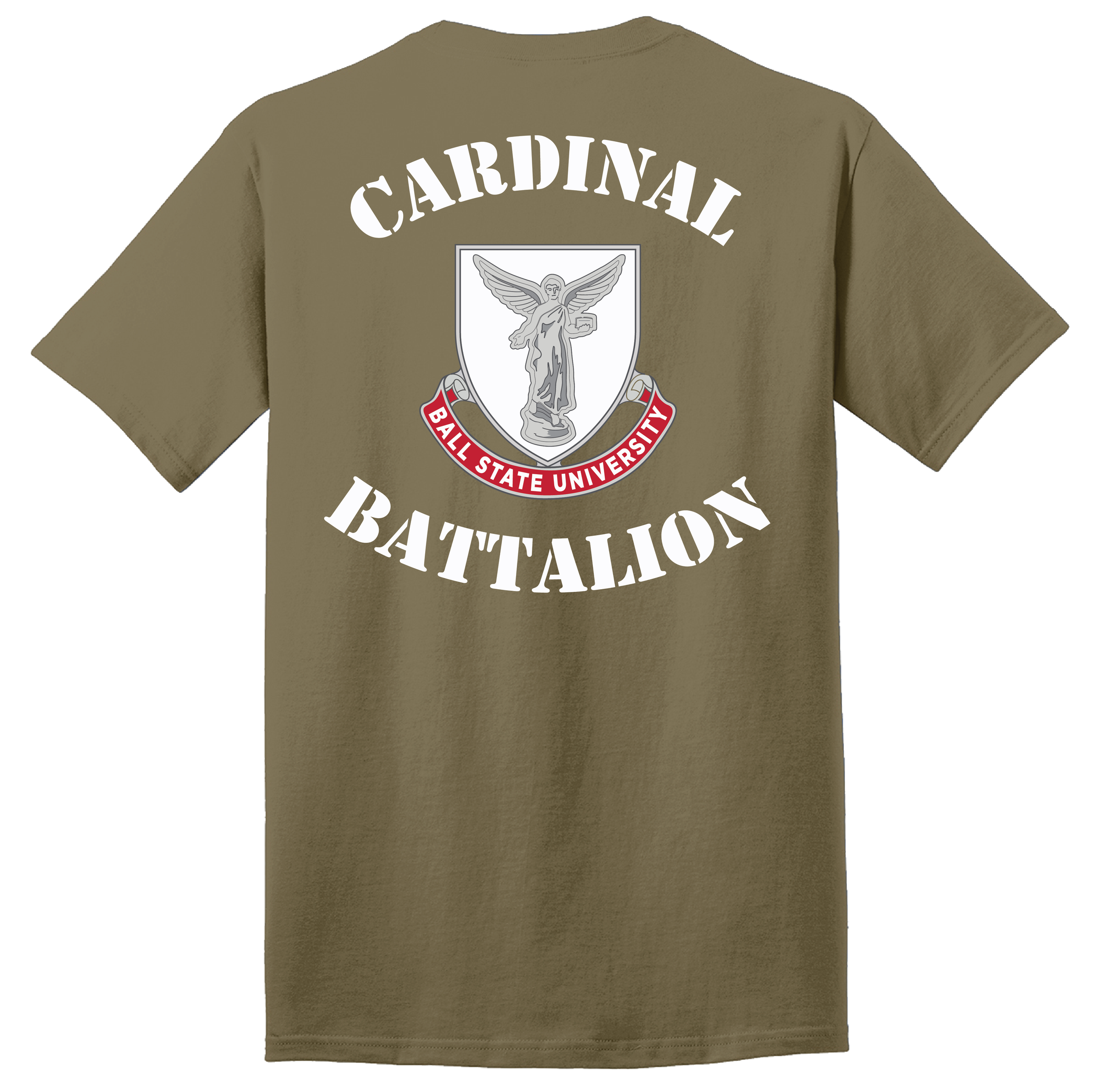 PC55 COYOTE BACK.png