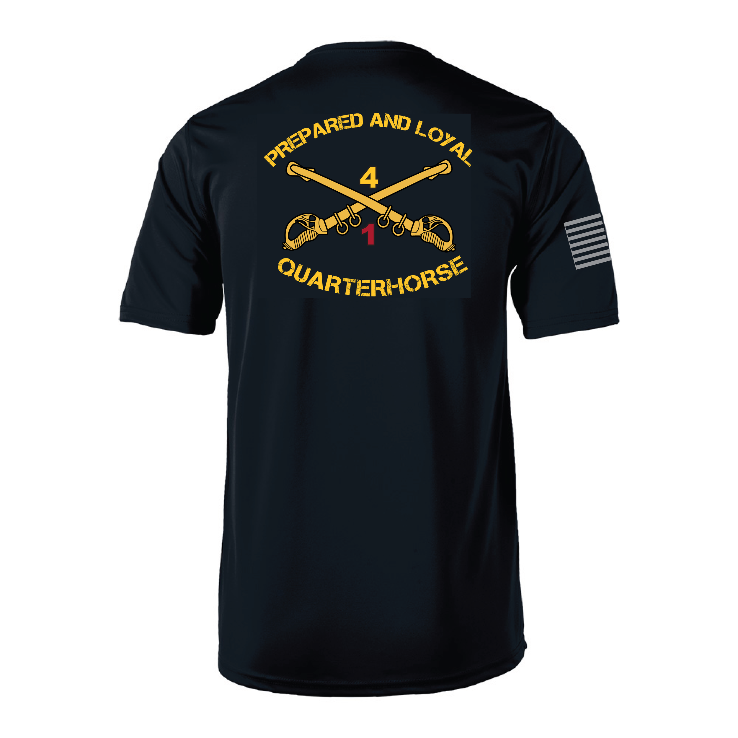 1-4 CAV 01-084 BLACK BACK.png