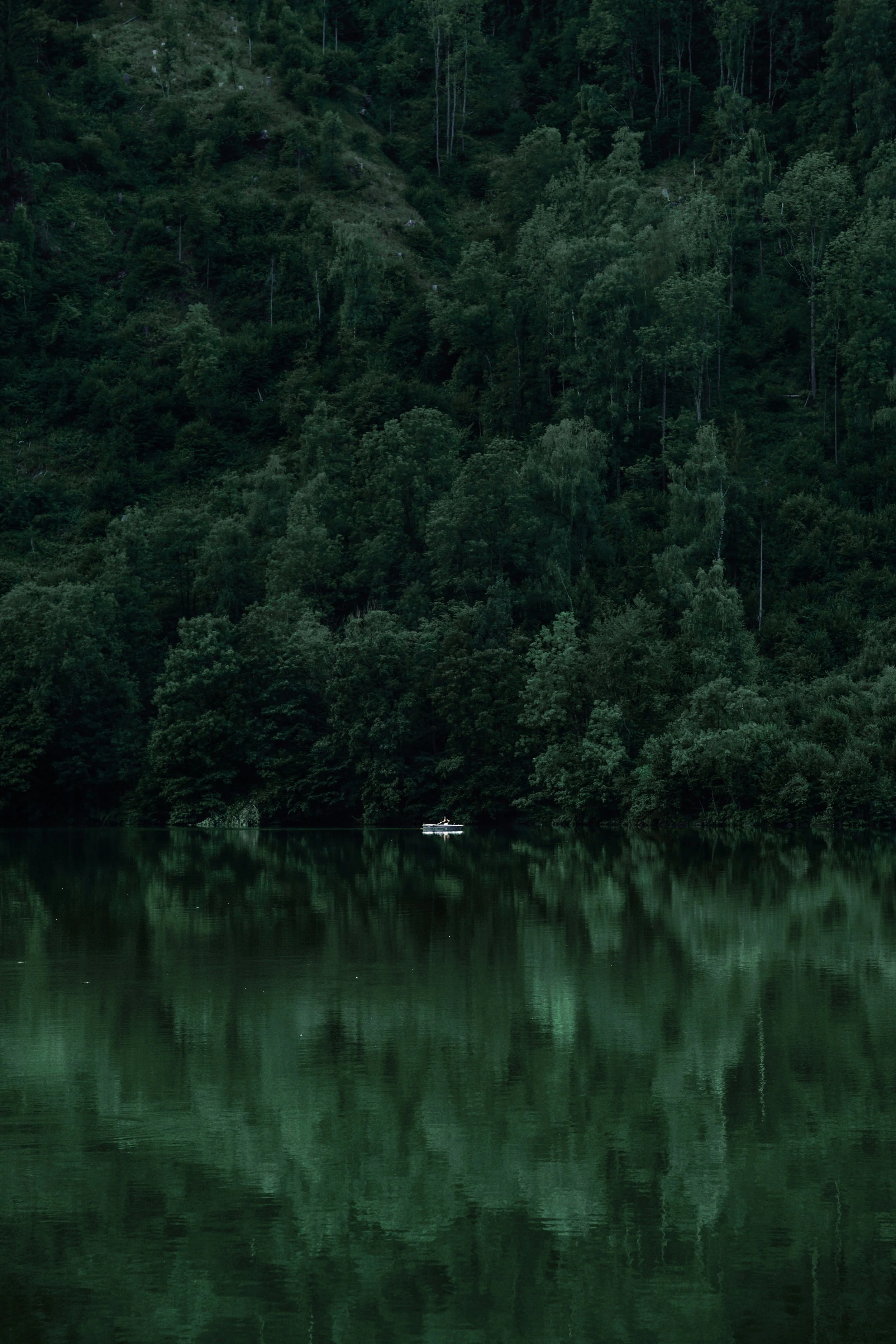 Dark green forest reflected on still water with a small boat, symbolizing nervous system healing as a quiet, reflective journey.
