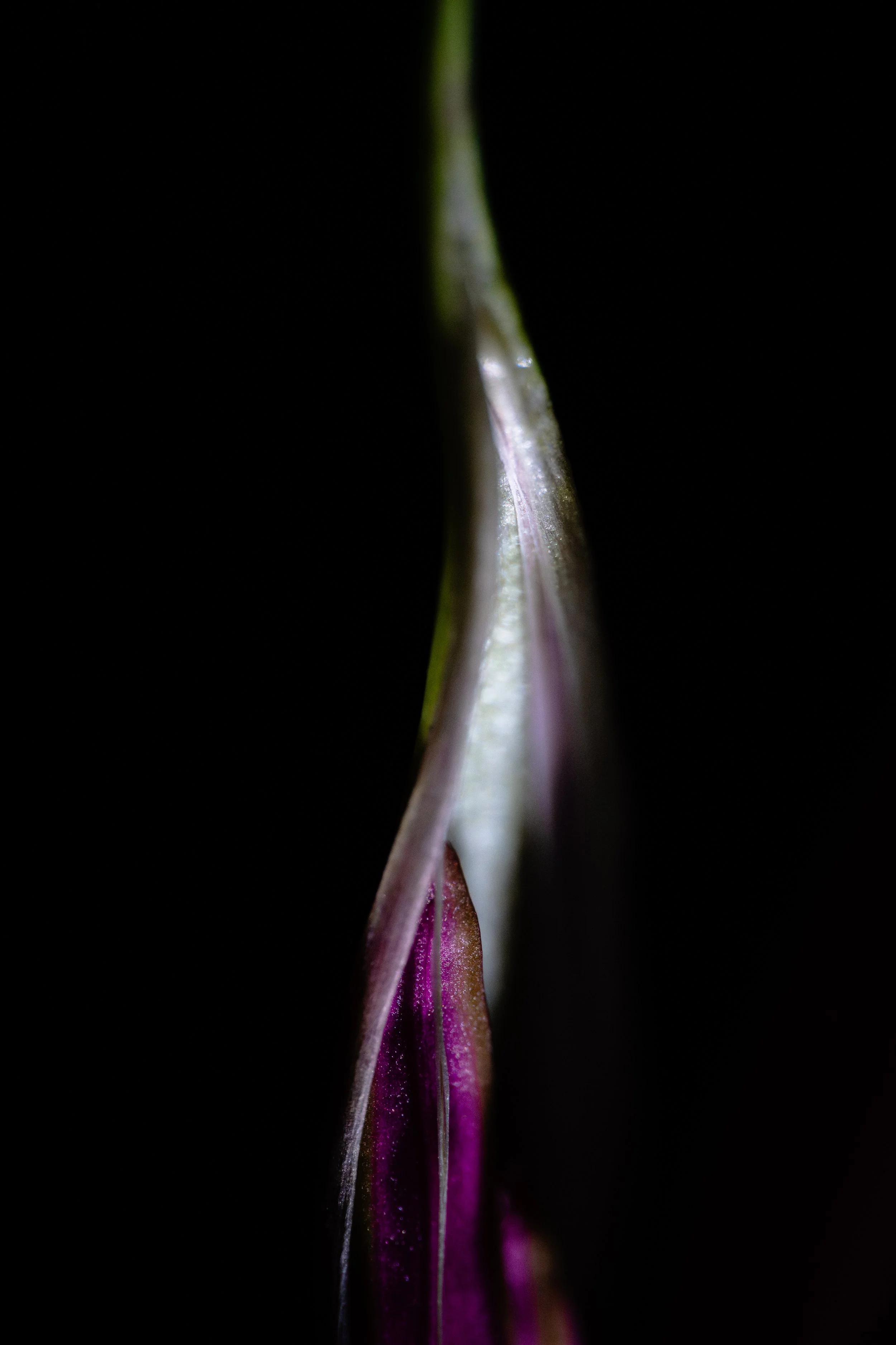 _DSC1377.jpg