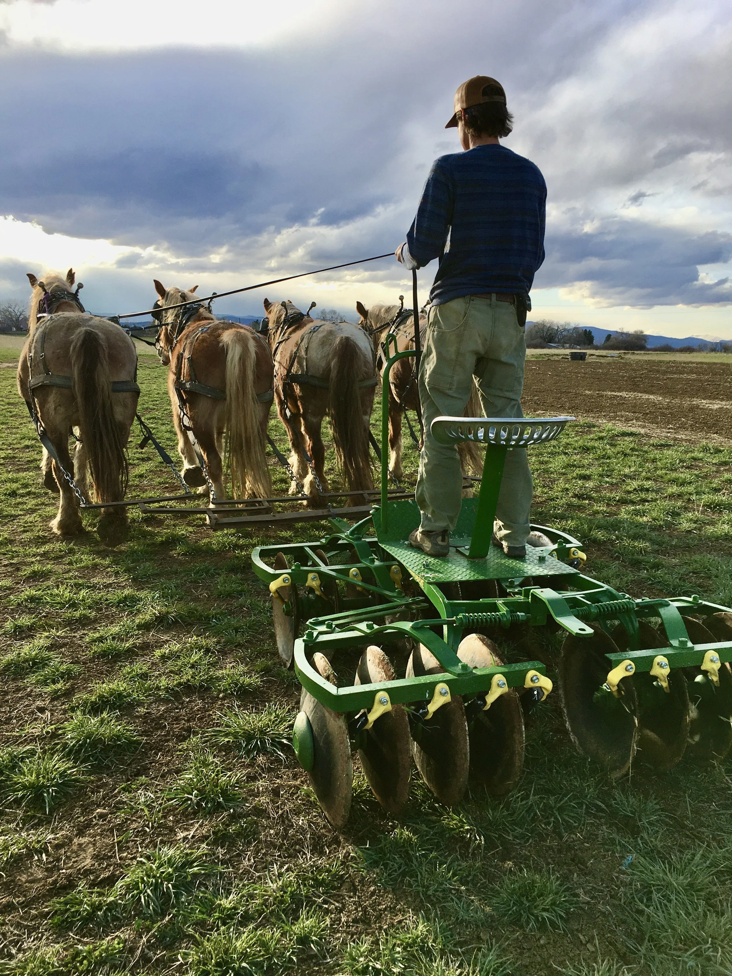 Draft Horse Farming — Lightroot Farm/LEAF