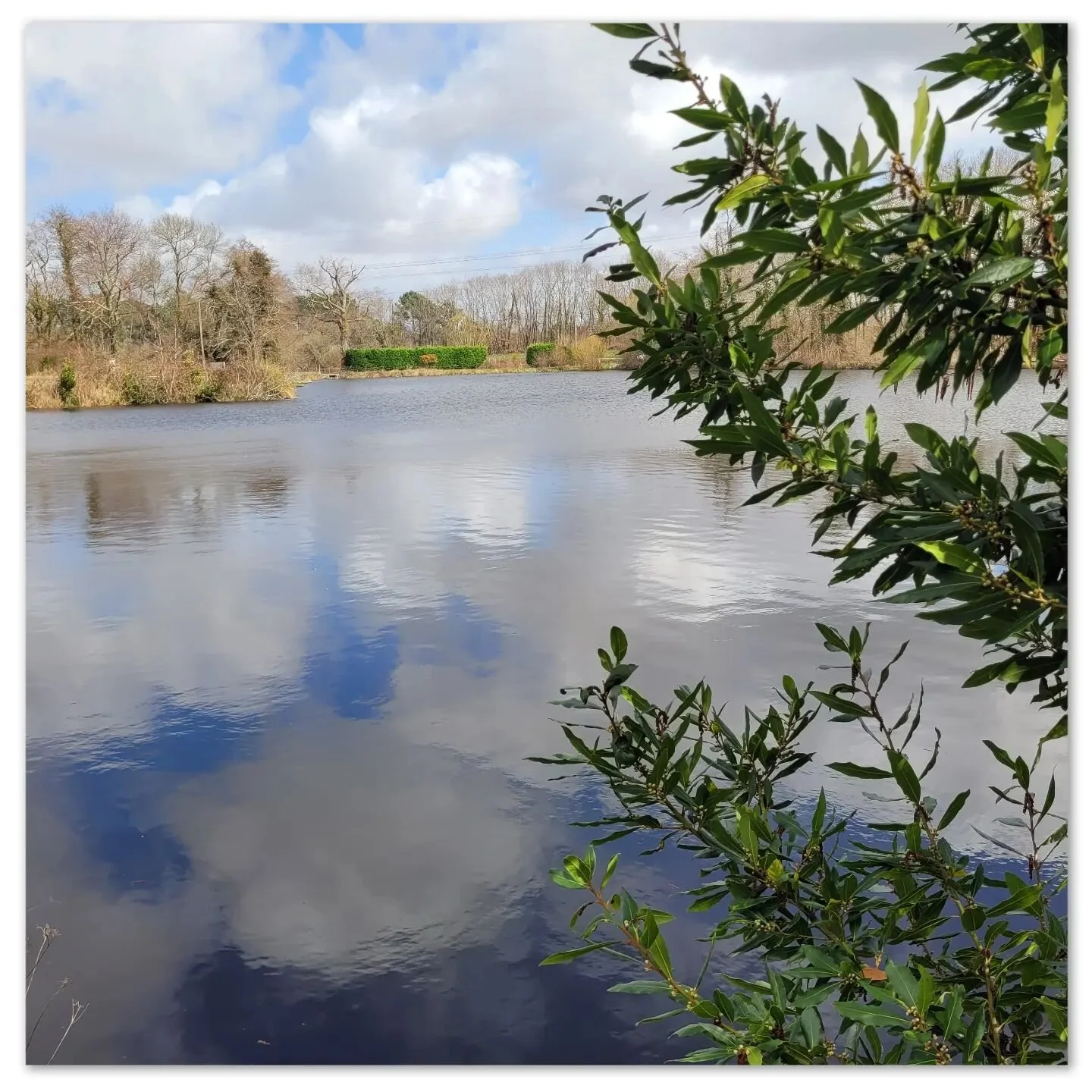 Couleurs de printemps et reflets

#lac #naturephotography #slowtourisme #slowtravel #nature #biodiversit&eacute;
