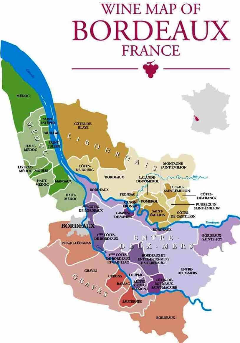 Bordeaux 2025 : quelles attentes pour le millésime à venir 