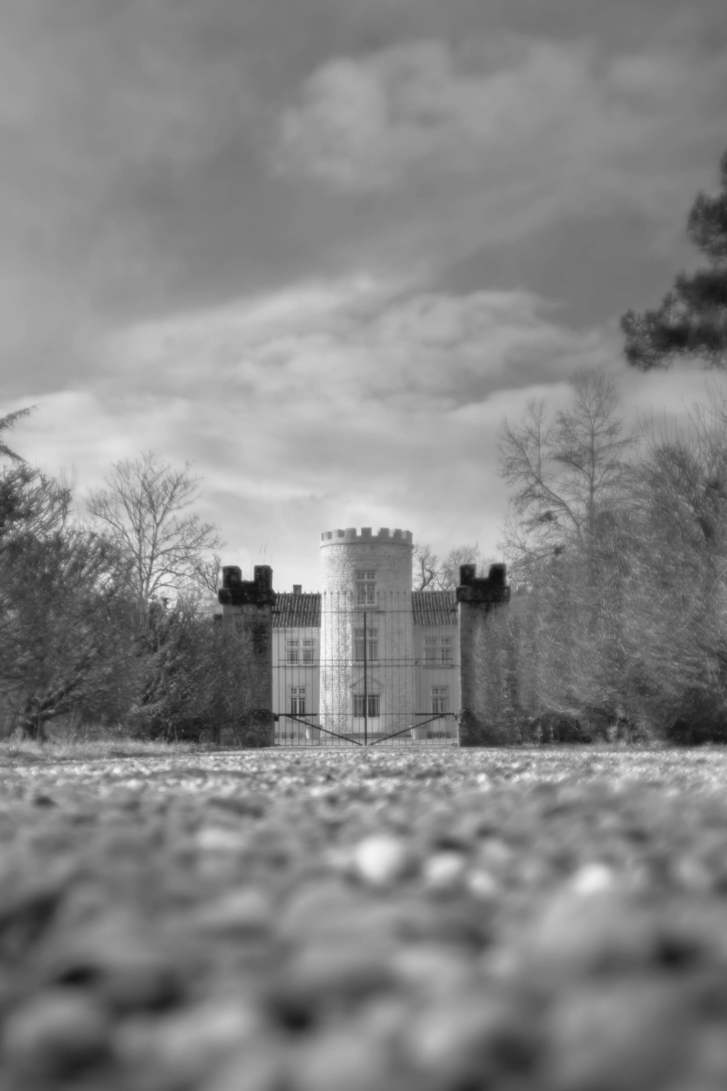 vignoble bio du Haut Médoc
