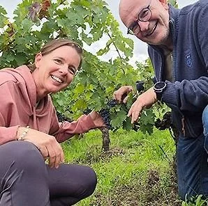 vignoble