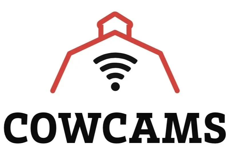 Cow Cams LOGO