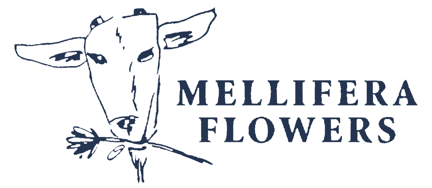 Mellifera Flowers